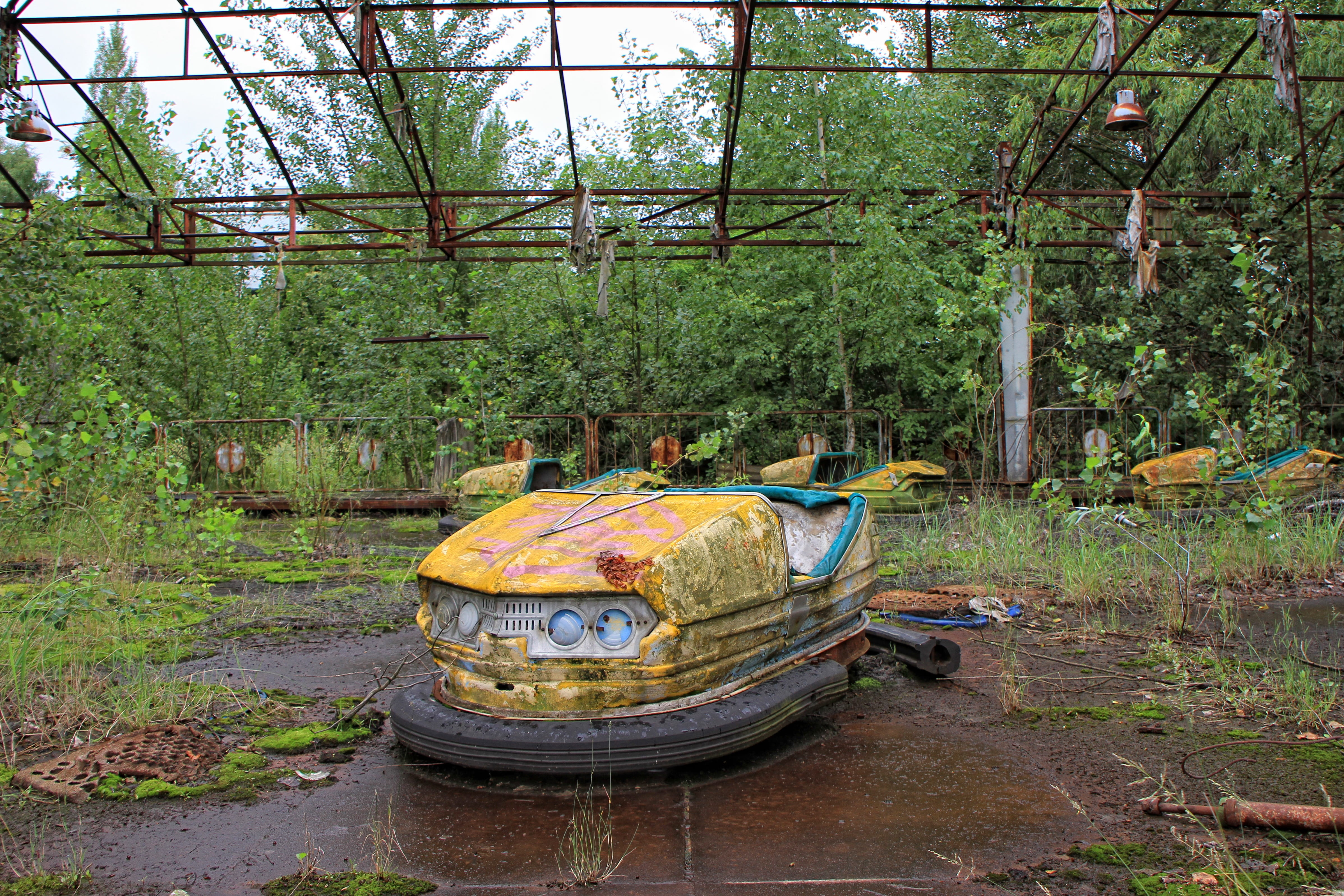 theme park, tree, decay, bumpcar, yellow, outdoors, old, ukraine, abandoned, fairground, rust, land, 4K, amusement, obsolete, funfair, disaster, plant, HD Wallpaper
