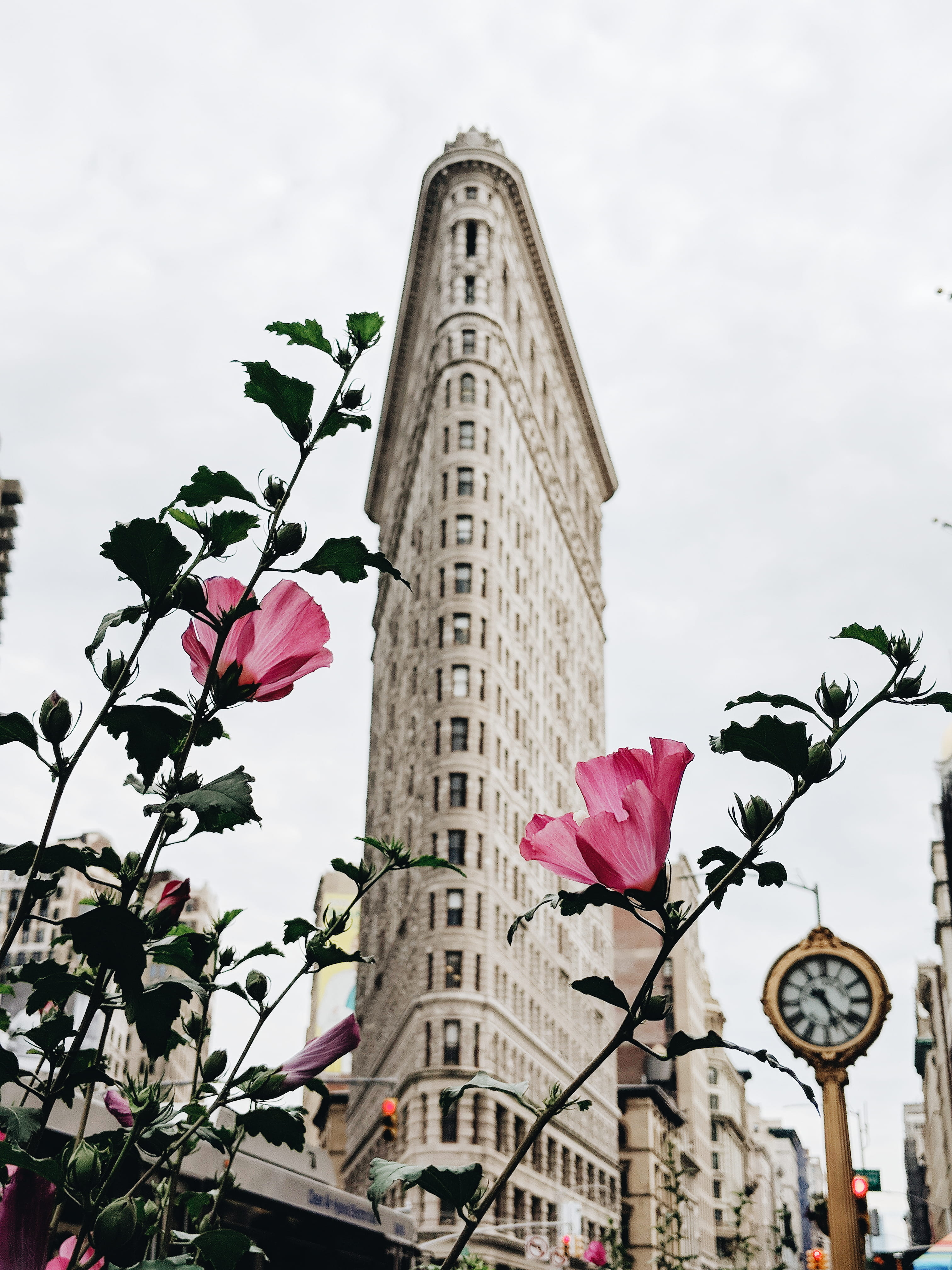 delicate, street, outdoors, built Structure, new york city, cultures, color Image, minimalist, urban Scene, europe, famous Place, big apple, Phone HD Wallpaper