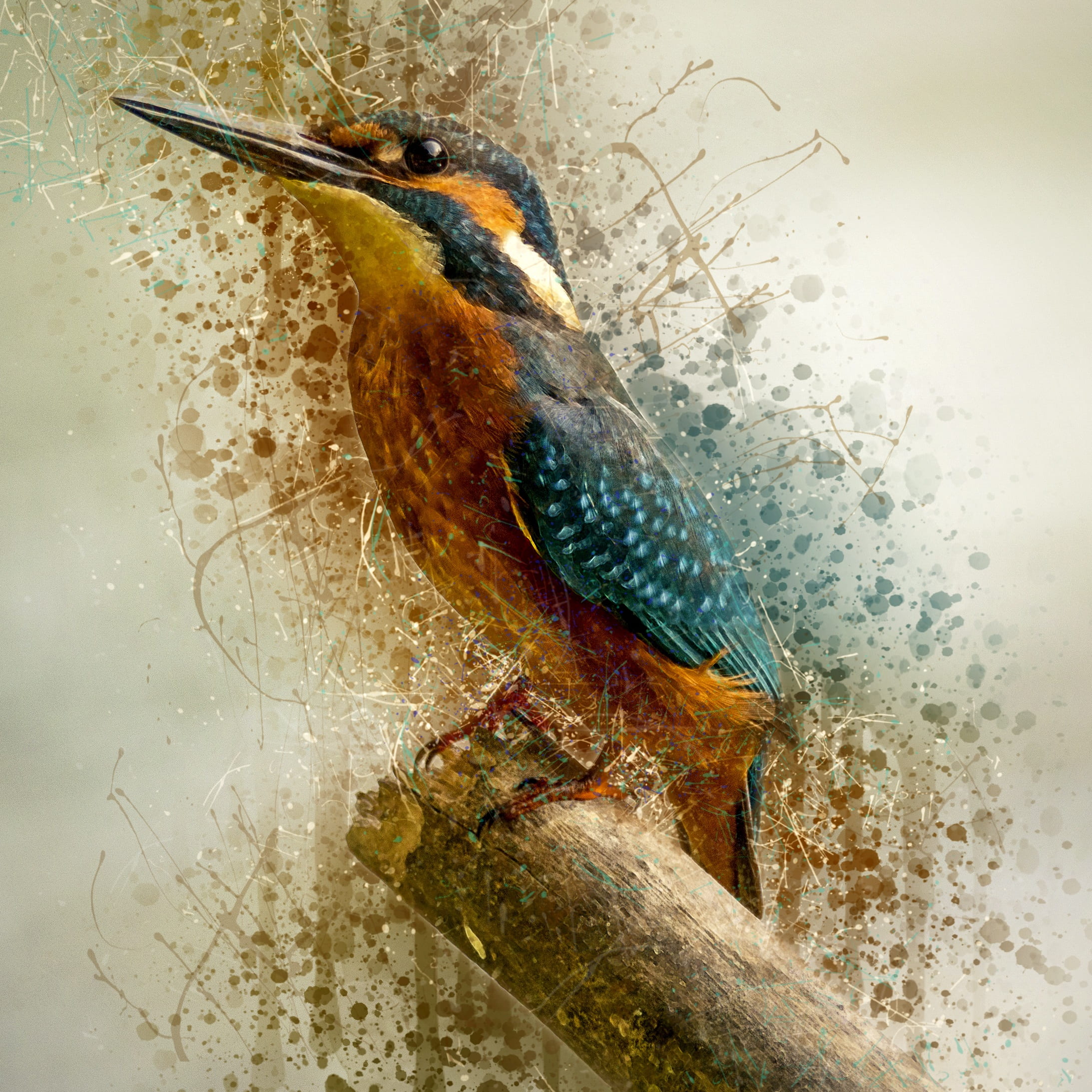1080P, brown, motion, exotic, long, wet, animals in the wild, perching, animal, bird, small, a lone, digital manipulation, branch, colorful, perched, design, Phone HD Wallpaper