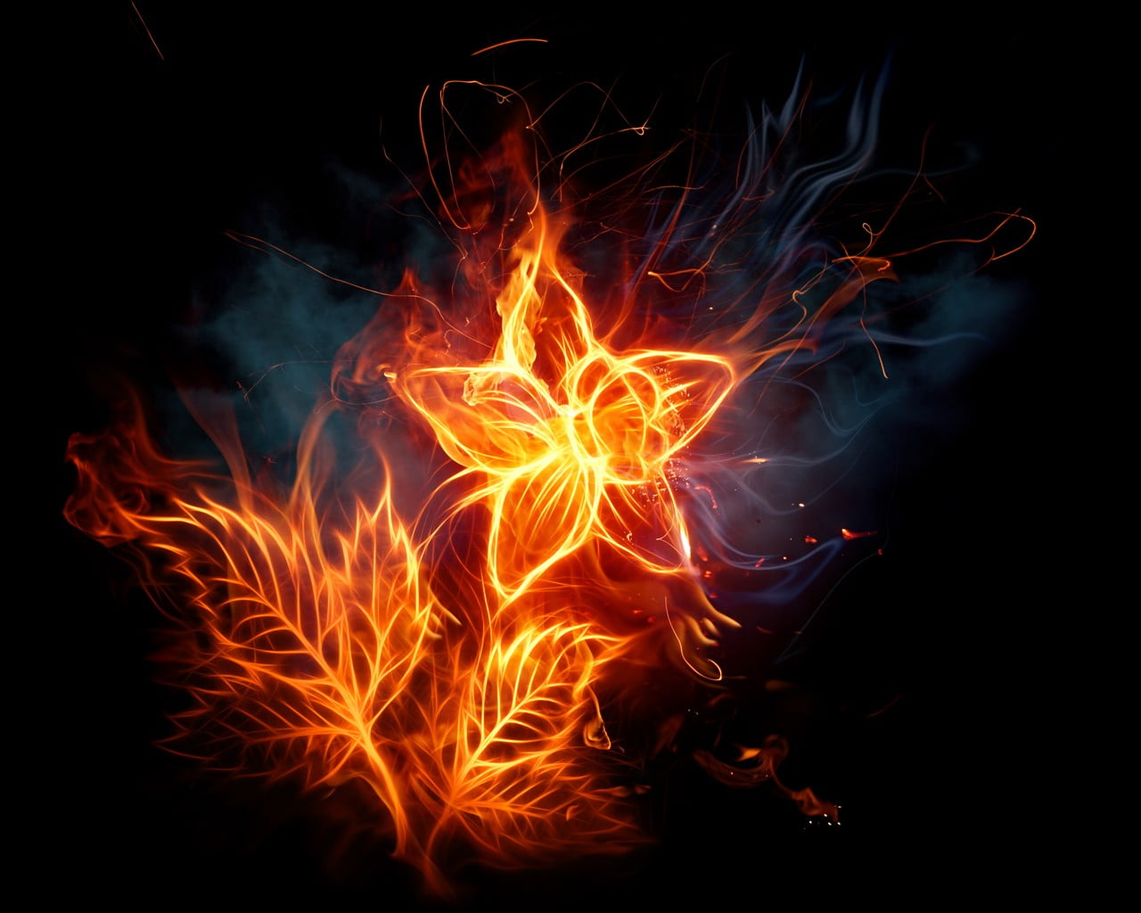 fire - natural phenomenon, flowers, close-up, illuminated, glowing, night, heat - temperature, nature, petal, orange color, sign, 720P, blurred motion, HD Wallpaper