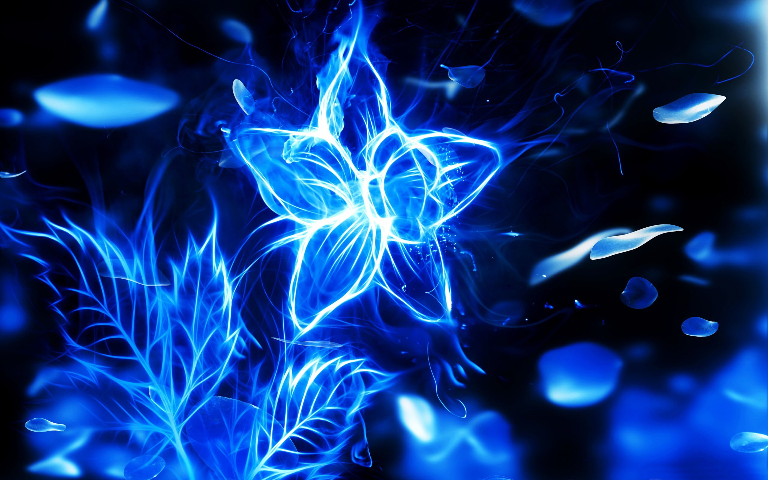 fire, flower, no people, blue, lighting equipment, vector, indoors, shape, theme, close-up, studio shot, nature, night, ray, flowers, 2K, black, HD Wallpaper