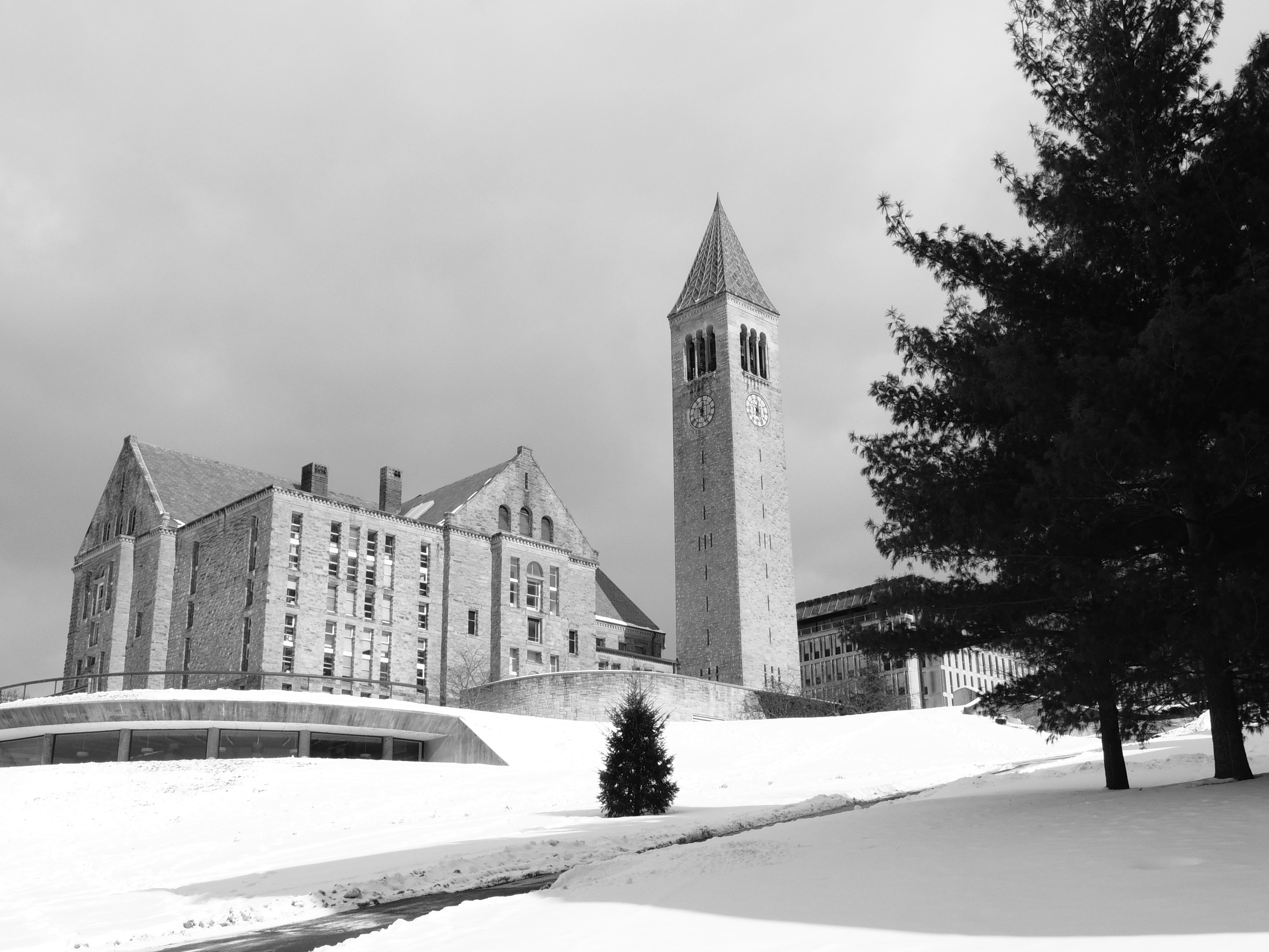 grounds, 4K, plant, ivy, snow, league, autumn, old, new, snowing, building exterior, facade, school, spirituality, windows, ithaca, cornell, hall, built structure, HD Wallpaper