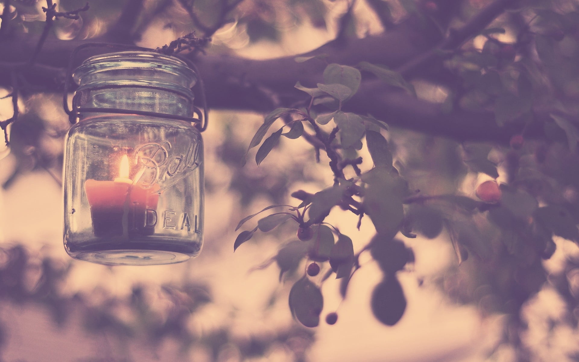 holder, night, mason, jar, mason jar, selective focus, burning, backgrounds, old-fashioned, electric Lamp, 1080P, branch, decoration, glass, leaf, container, HD Wallpaper