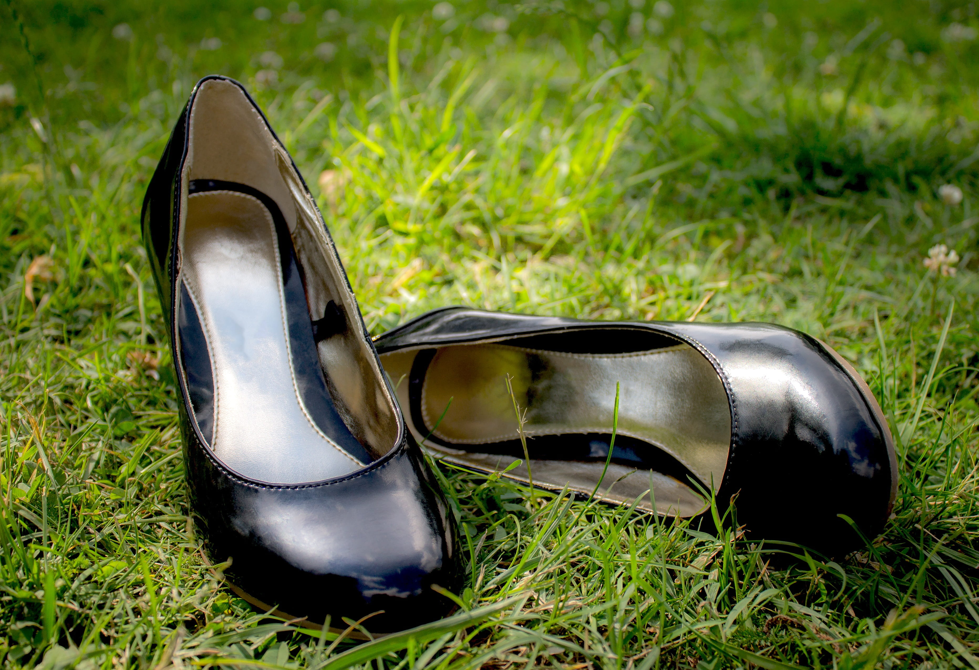 2K, high heels, close-up, shoes, silver colored, compatibility, plant, black color, shoe, land, fashion, heeled, landscape, Meadow, growth, out, day, sunlight, HD Wallpaper
