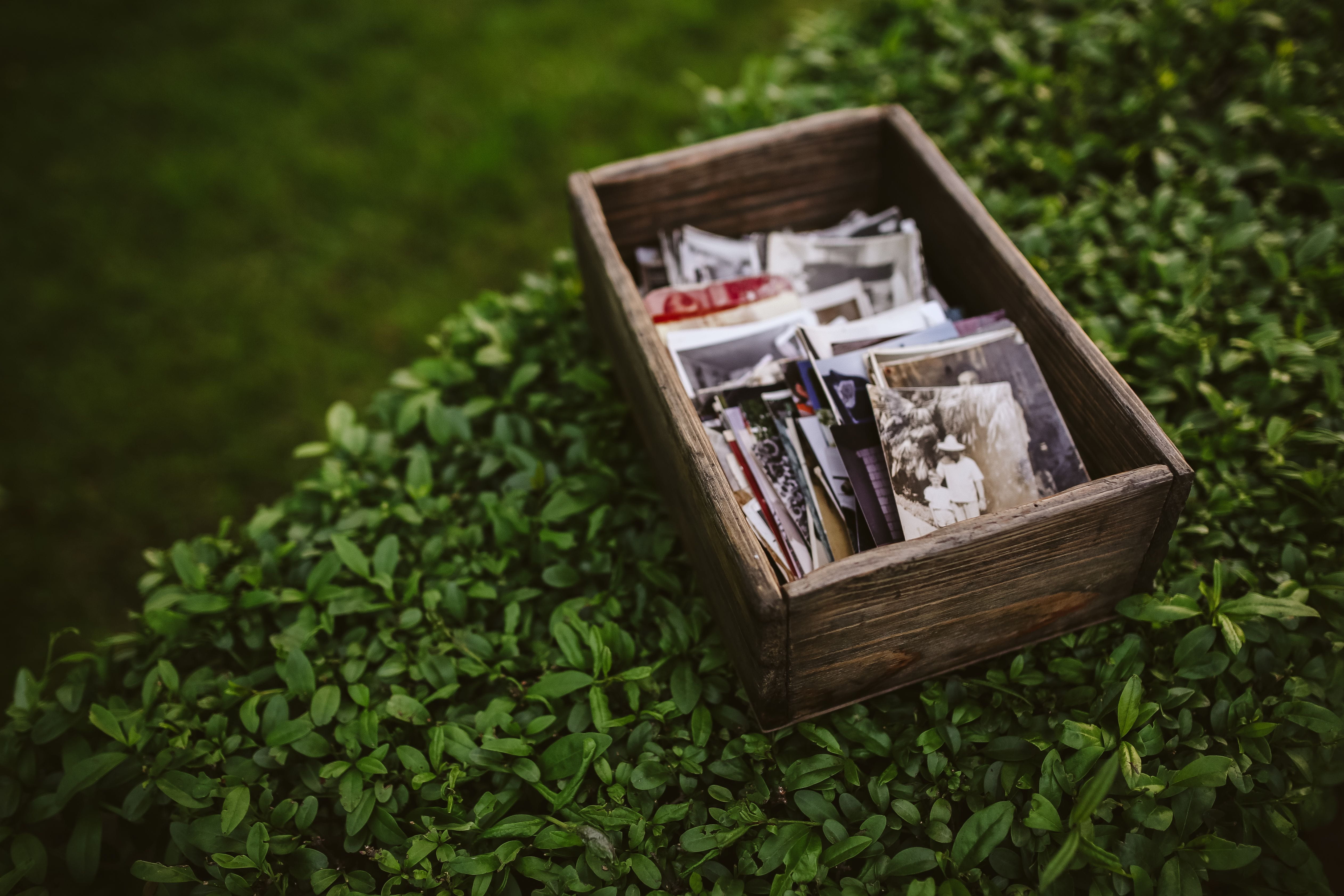 photos, book, outdoors, memories, photography, focus on foreground, close-up, growth, wood - material, no people, 4K, pictures, Old, nature, box - container, HD Wallpaper