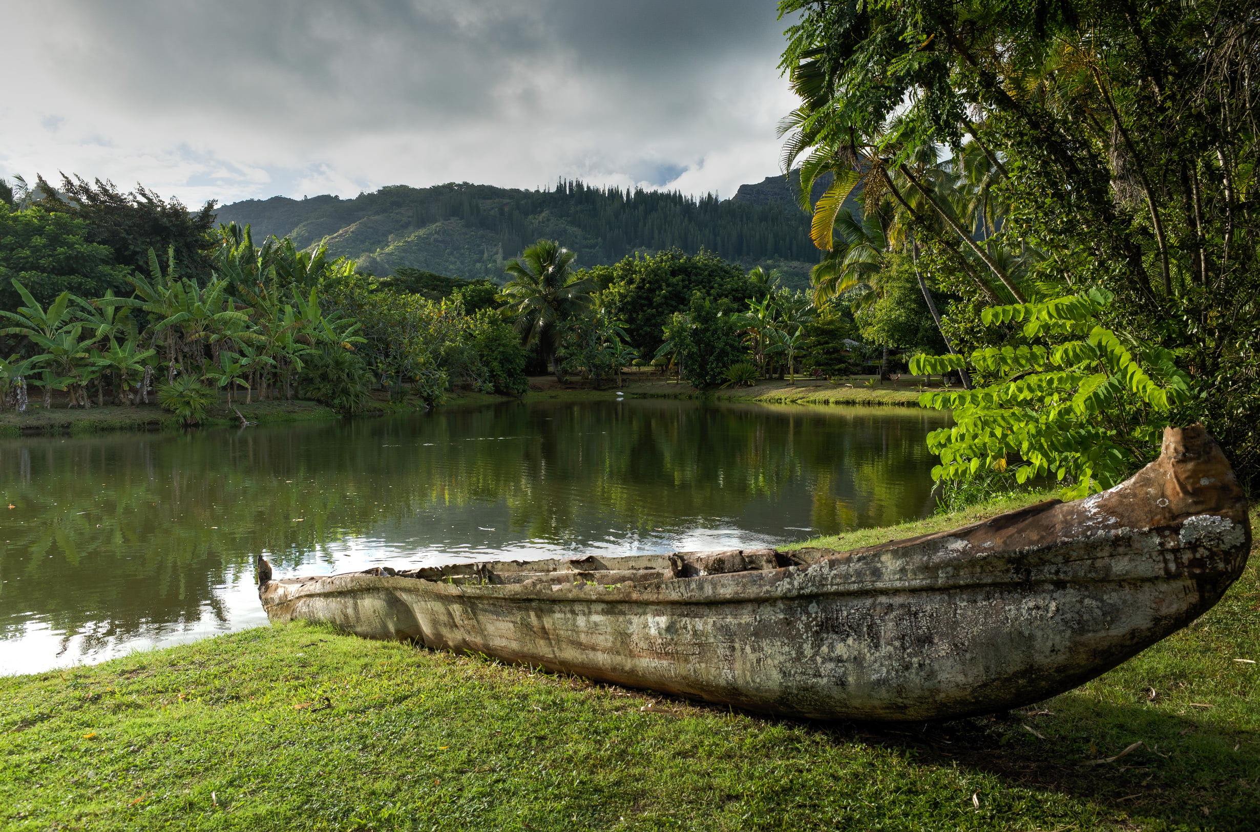 field, reflection, mountain, Canoe, log on, Boat, water, scenics, brown, green grass, log, front, river, Ricoh  GR, nautical Vessel, green, tree, grass, HD Wallpaper