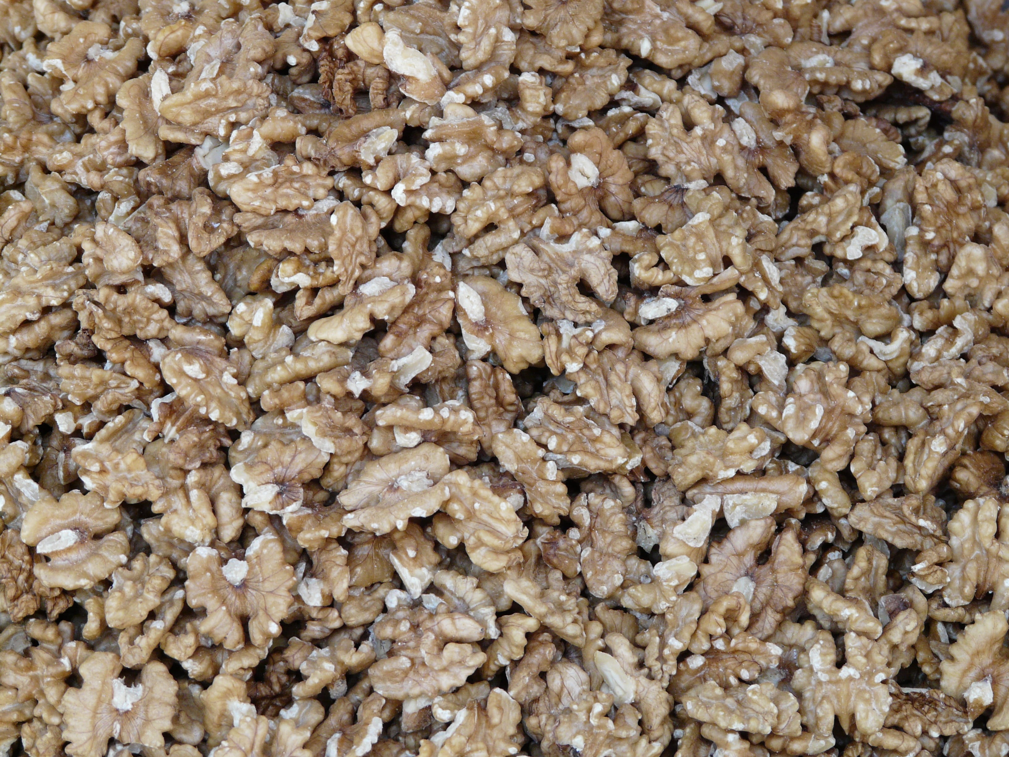 porridge, backgrounds, pattern, freshness, food, food and drink, large group of objects, snack, breakfast, no people, 2K, seed, real walnut, tree nut, HD Wallpaper