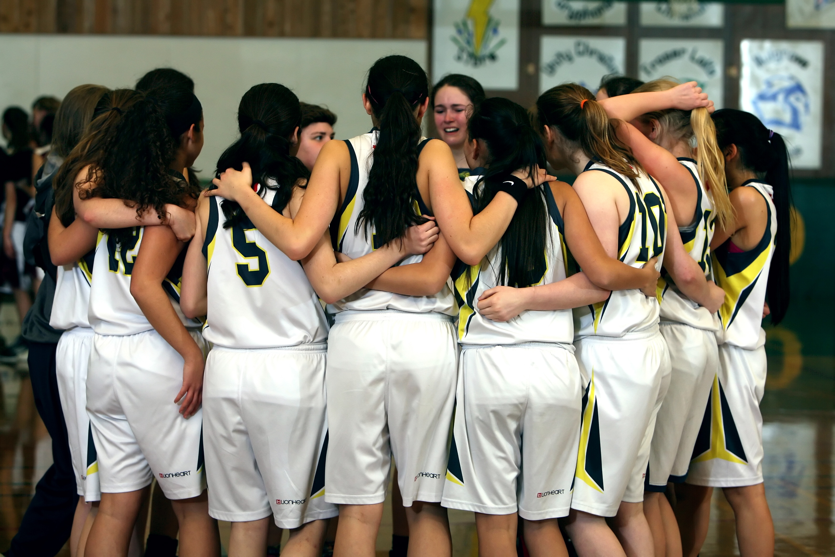 togetherness, group of people, team, waiting, women, sport, group, adult, inside, in a row, girls basketball team, hairstyle, standing, bonding, day, teenage, HD Wallpaper