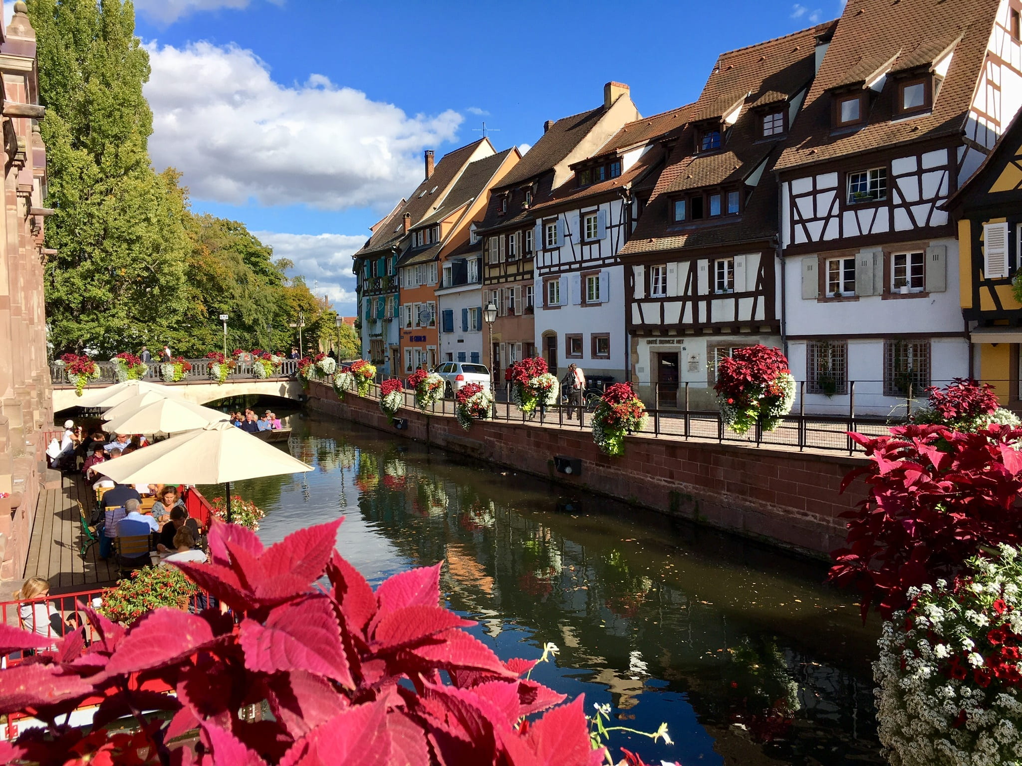 building exterior, nature, river, flower, tree, water, beauty in nature, no people, fachwerkhaus, waterfront, built structure, alsace, group, city, flowering plant, HD Wallpaper