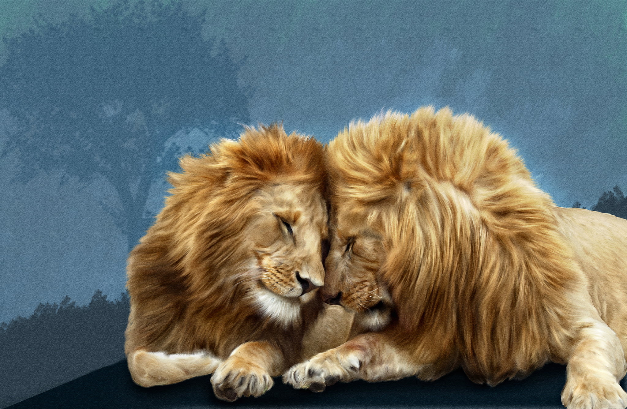 two animals, close-up, animal family, lions, group of animals, animal, Photoshop, pets, domestic animals, brotherly love, mammal, indoors, 1080P, no people, HD Wallpaper