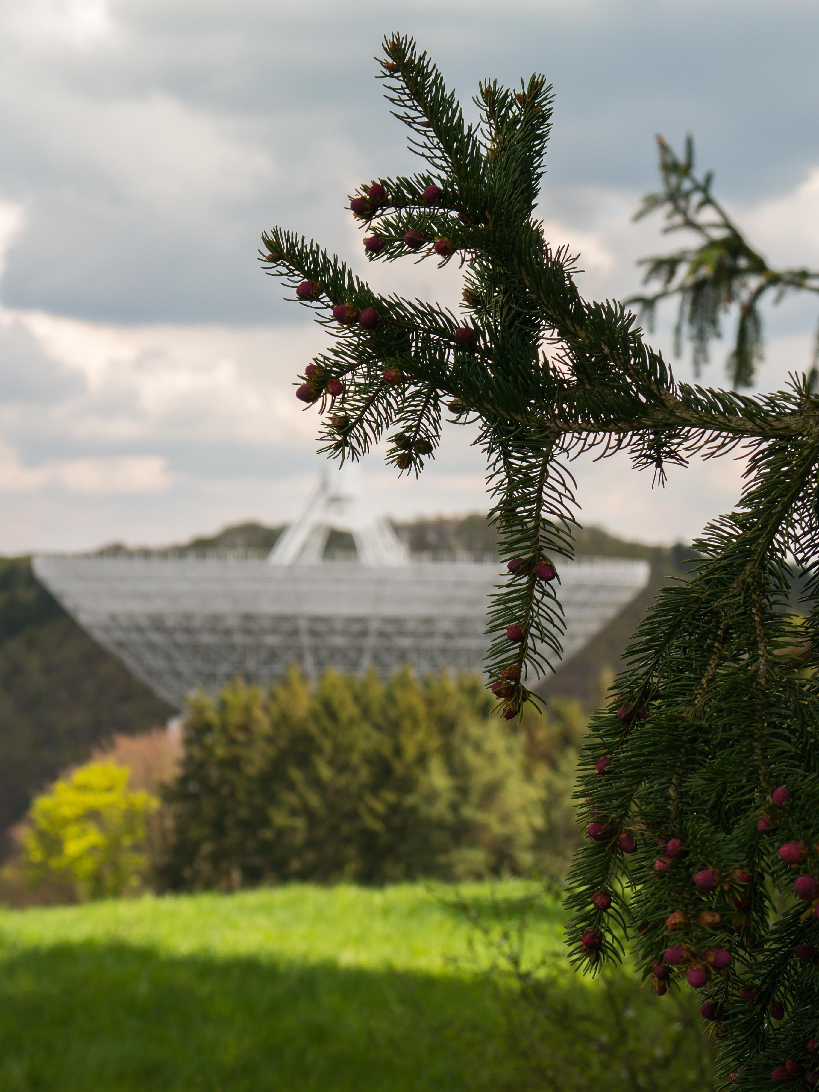 max planck institute, Radio Telescope, green color, technology, day, meadow, cloud - sky, sky, growth, conifer, universe, space, environment, architecture, Phone HD Wallpaper