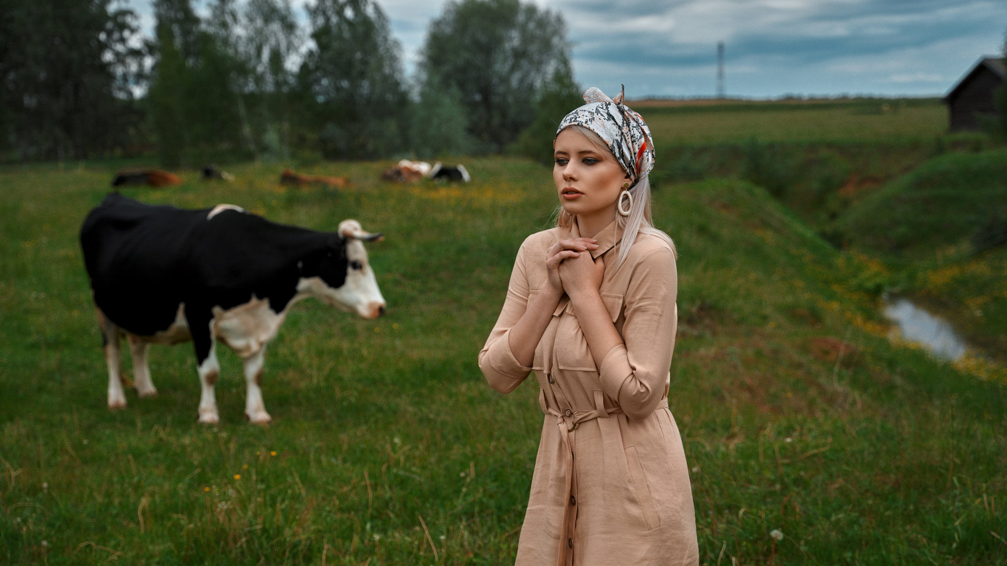 brown clothing, straight hair, animals, field, 1080P, long hair, coats, makeup, earring, women, Andrey Metelkov, blonde, hairband, cow, HD Wallpaper