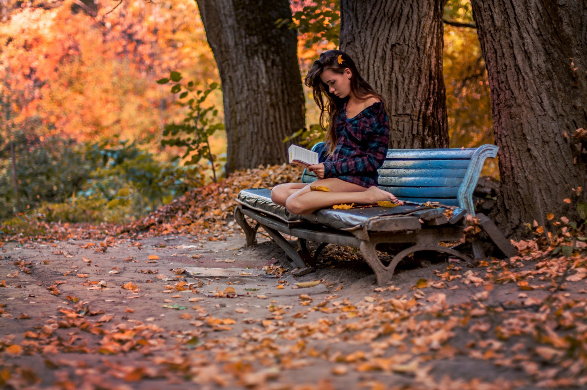 casual clothing, tree, fashion, women outdoors, leaf, autumn, plaid shirt, change, park bench, land, outdoors, adult, 1080P, women, young adult, reading, HD Wallpaper