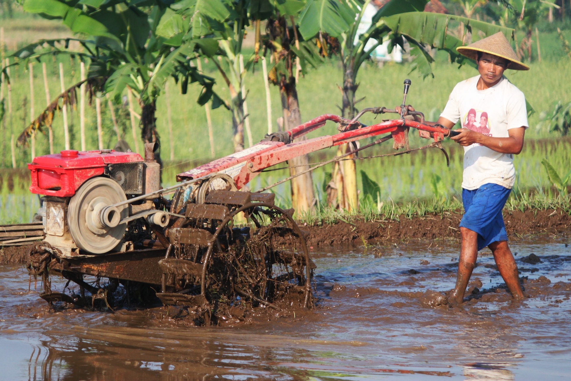 farmer, water, working, farming, daytime, manual Worker, transportation, one person, padi, machine, farm, plant, growth, rural, using, men, mode of transportation, HD Wallpaper