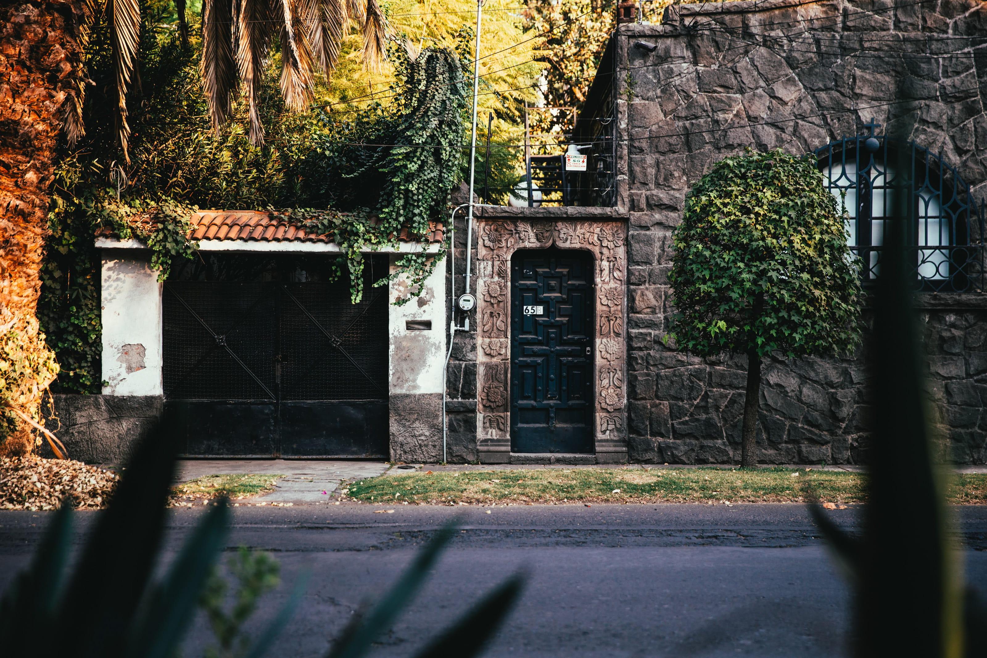 surrounded, estate, window, structure, built structure, plants, tree, growth, door, tropical, palms, doorway, stone walls, ivy, abandoned, grass, residence, HD Wallpaper