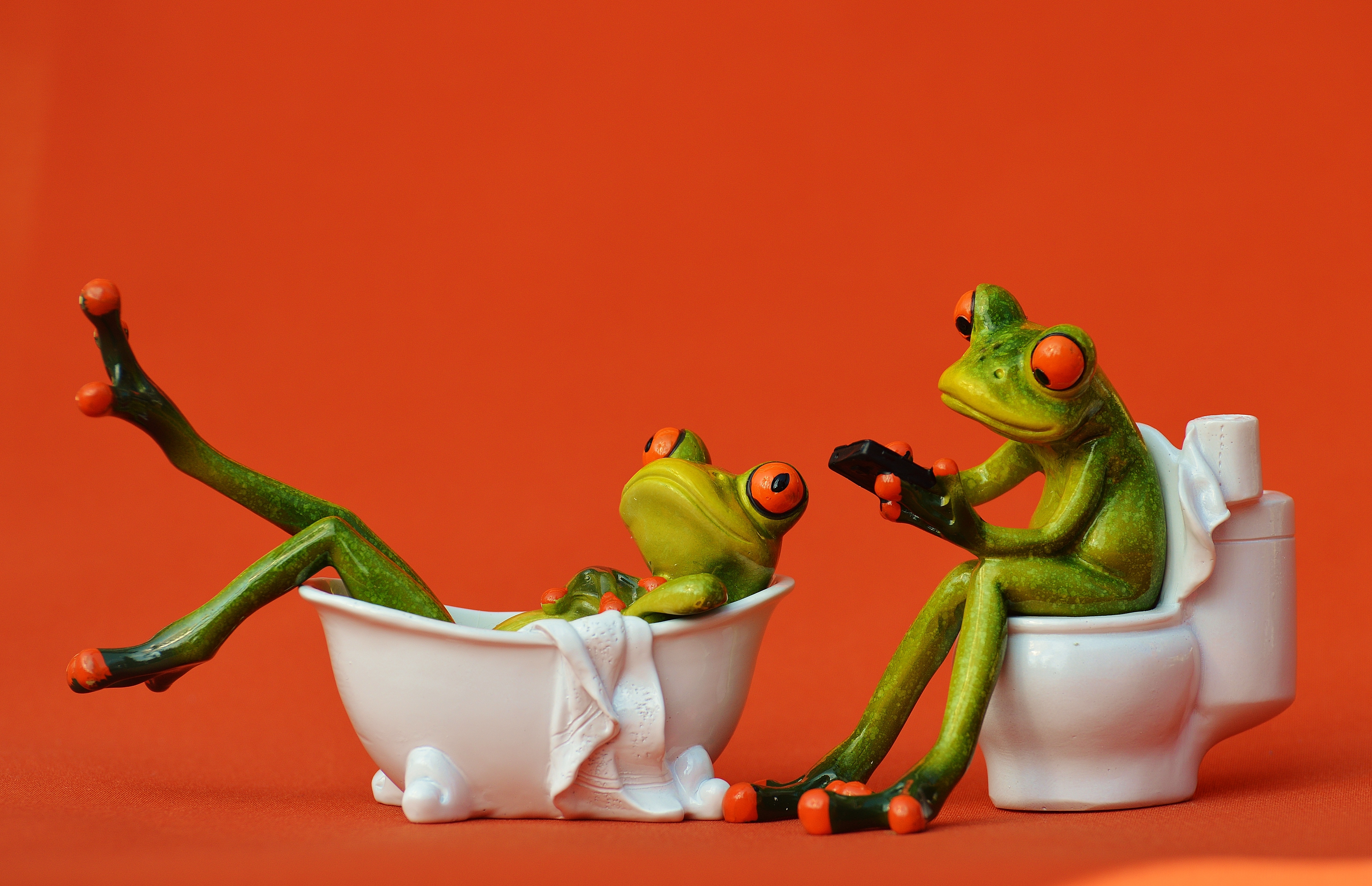 cute, fruit, bath, colored background, two, figurine, no people, sweet, session, red background, pepper, toilet, frog, still life, bowl, studio shot, freshness, HD Wallpaper