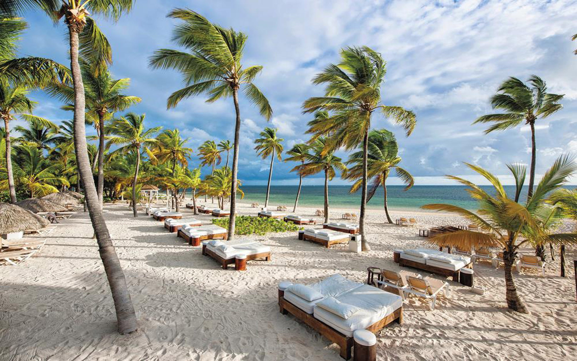 desktop, punta, bavaro, beach, catalonia, dominican, cana, republic, palm, 1080P, HD Wallpaper