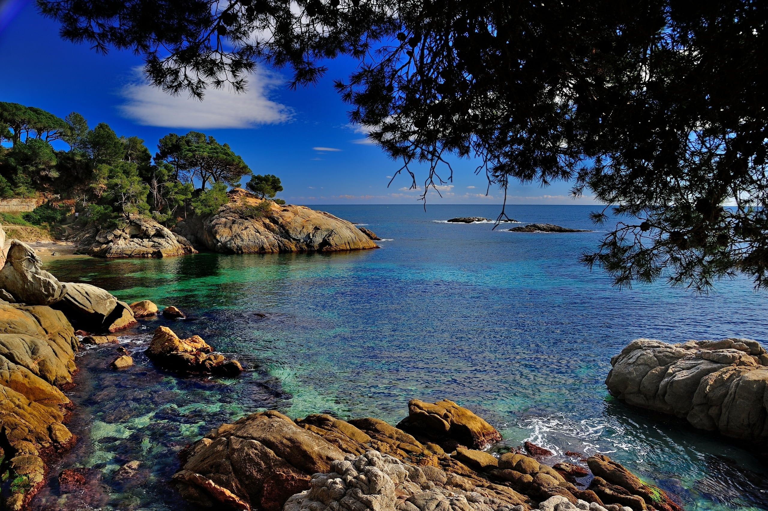 turquoise Colored, tourist Resort, branches, mediterranean Sea, cliff, relaxation, journey, near, rock, no People, body, tree, rocky coastline, sand, coastline, HD Wallpaper