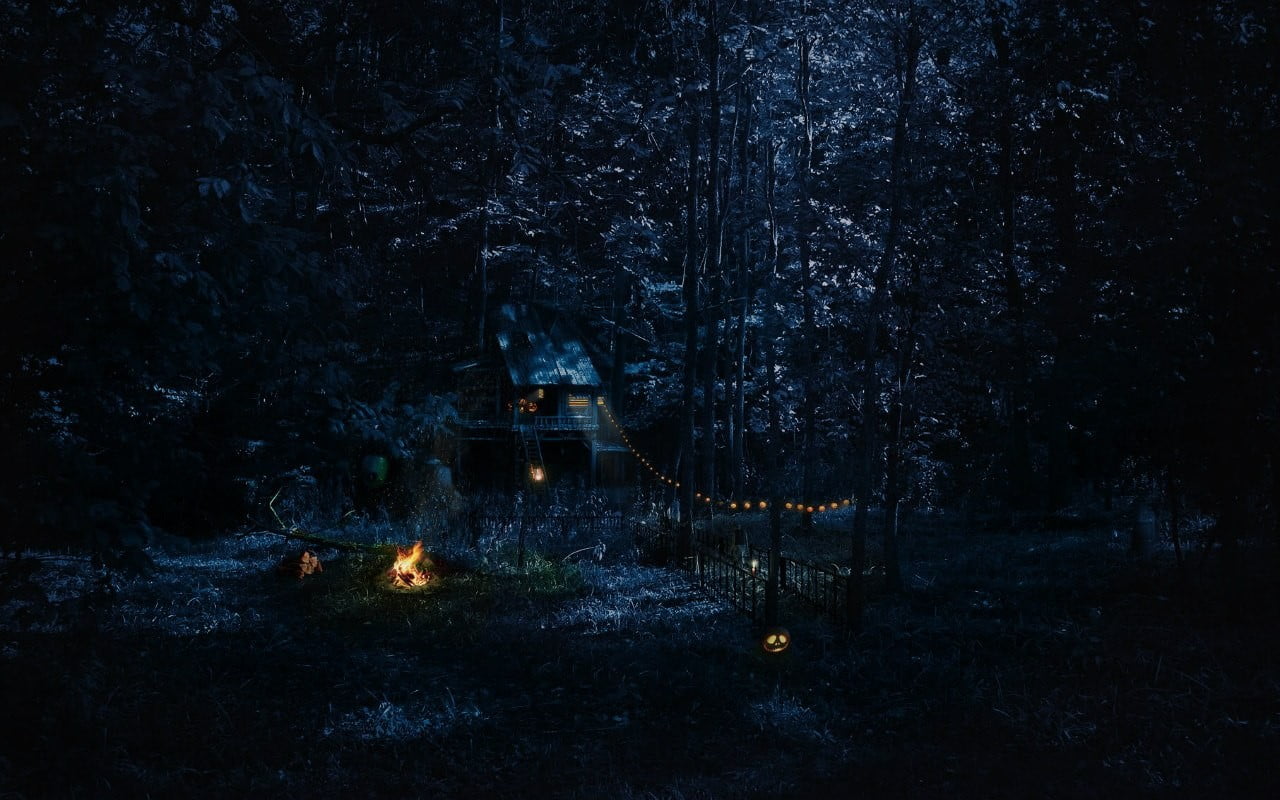 tree, land, tranquility, heat - temperature, water, campfire, night, tranquil scene, fire, dark, forest, cabin, 720P, outdoors, illuminated, HD Wallpaper