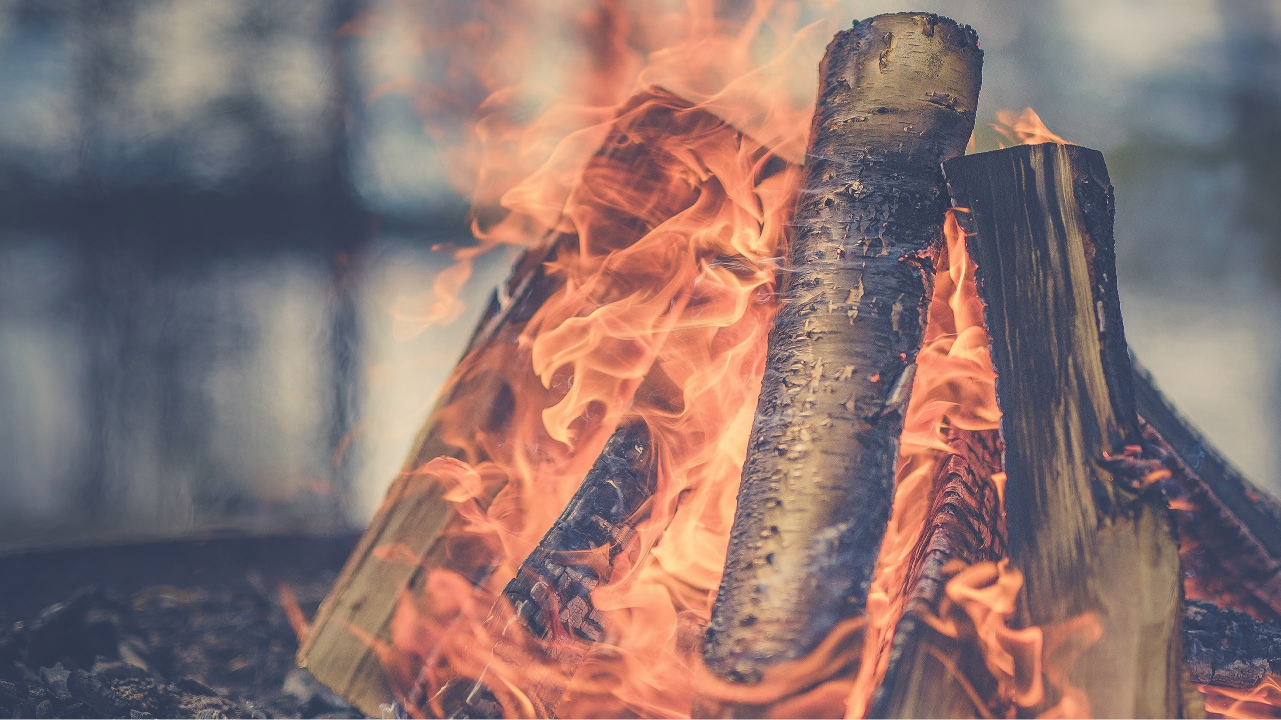 focus on foreground, fire - natural phenomenon, nature, wood - material, fire, day, no people, timber, forest, bonfire, outdoors, flame, wood, firewood, HD Wallpaper