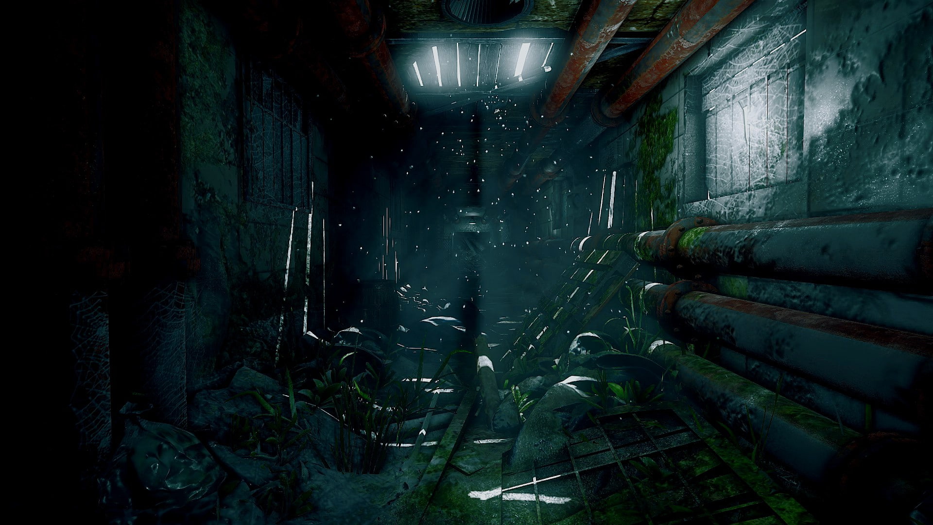 Steam (software), 1080P, video games, Investigator, HD Wallpaper