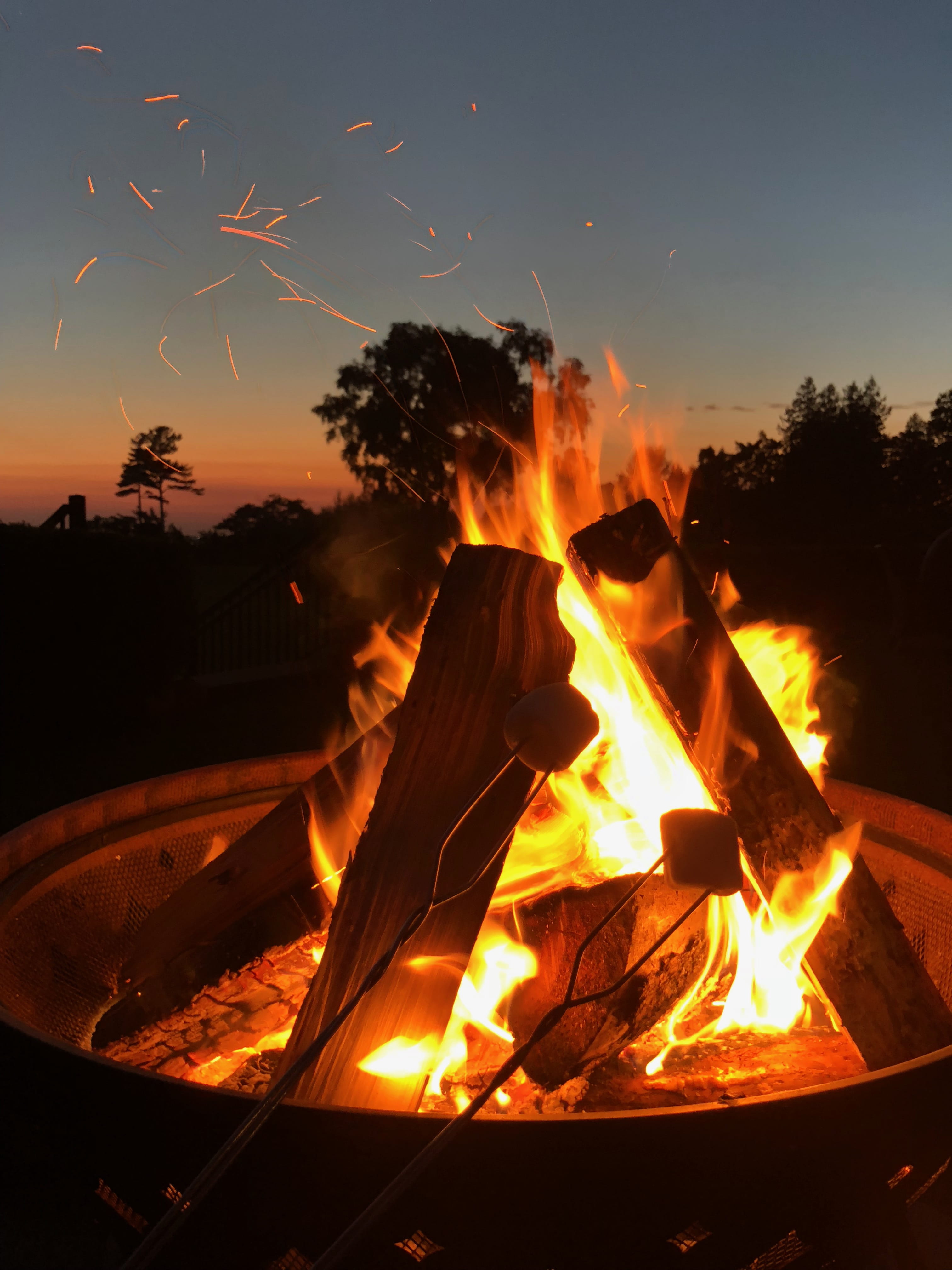 4K, flame, hot, glowing, sunset, wood - material, burnt, tree, fire - natural phenomenon, no people, heat - temperature, trees, bonfire, log, fireplace, Phone HD Wallpaper