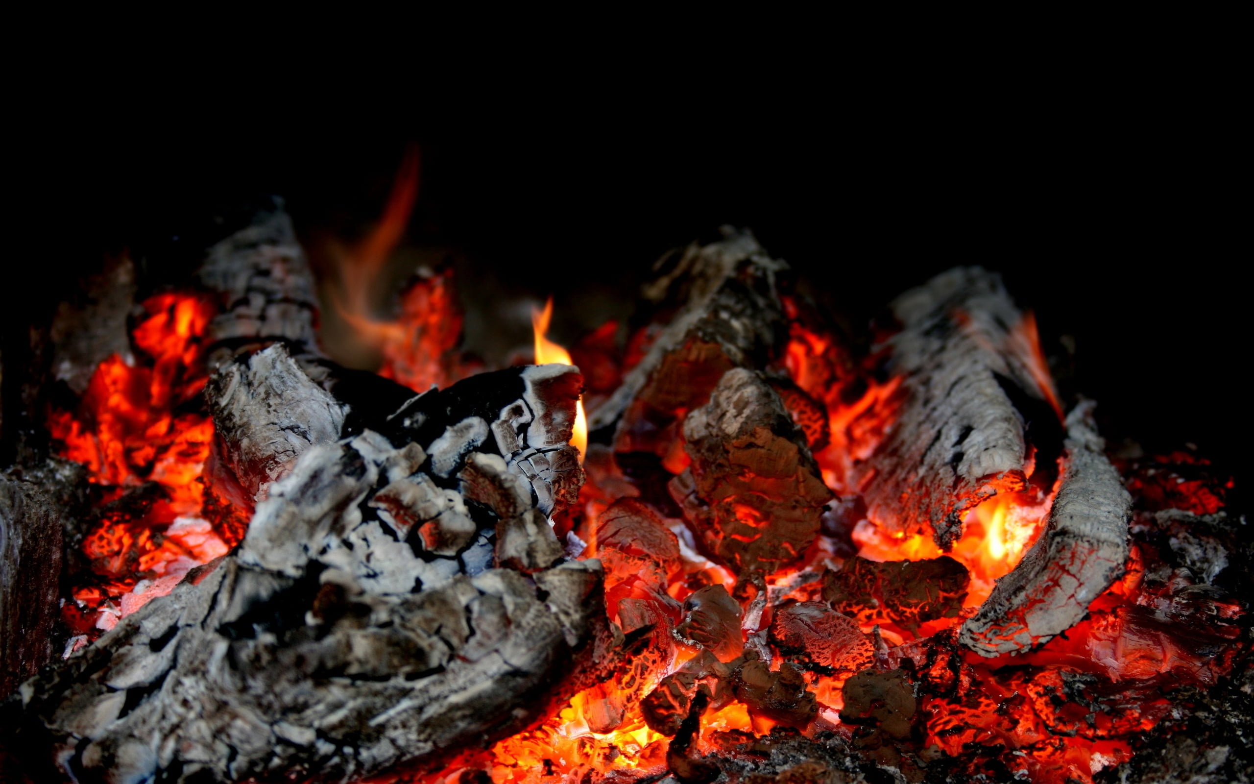 close-up, burning, wood - Material, black background, campfire, motion, black Color, 2K, flame, red, no people, embers glow, log, glowing, yellow, night, HD Wallpaper