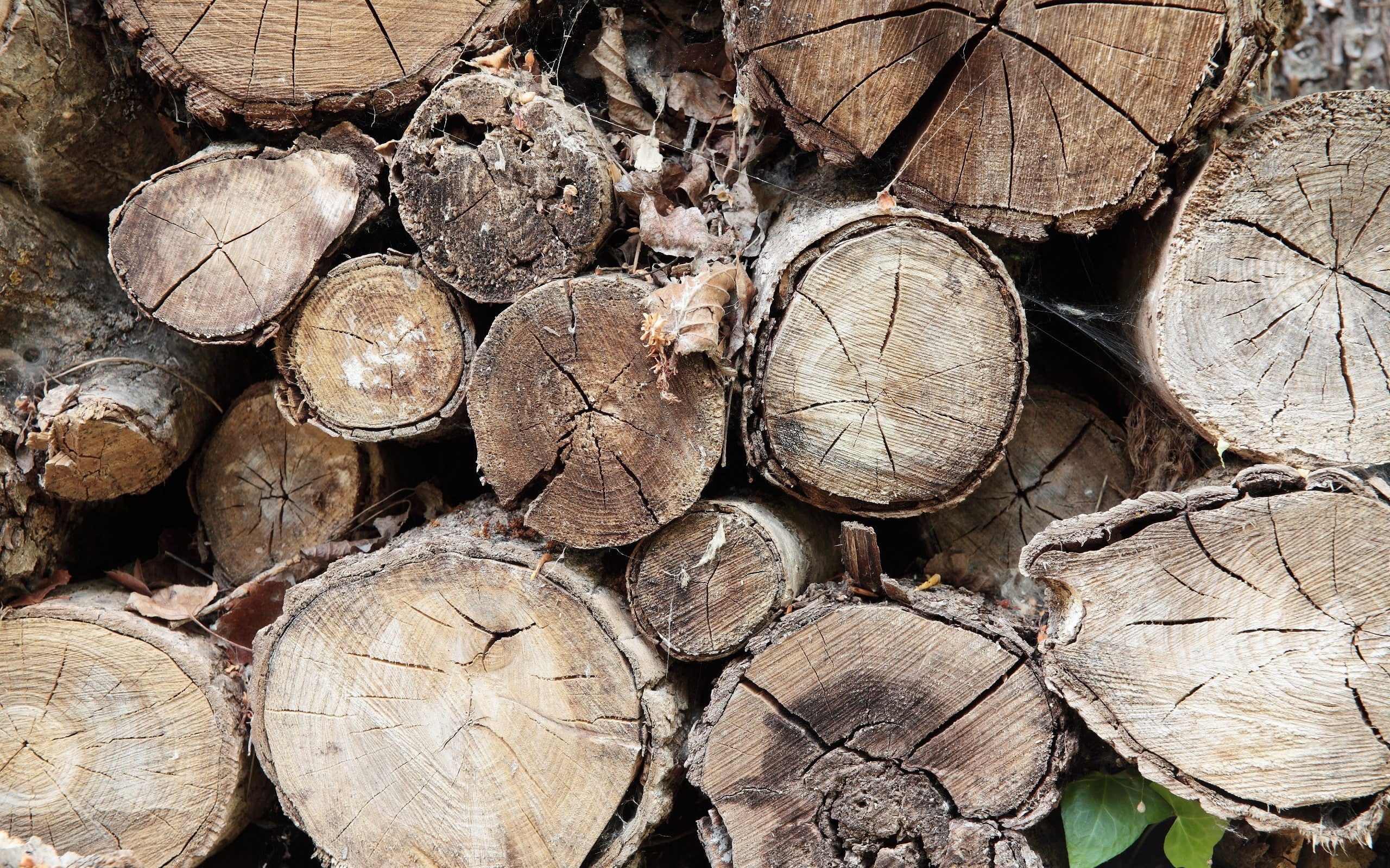 firewood, fuel and power generation, shape, deforestation, wood, stack, full frame, no people, chopped, outdoors, tree, woodpile, large group of objects, HD Wallpaper