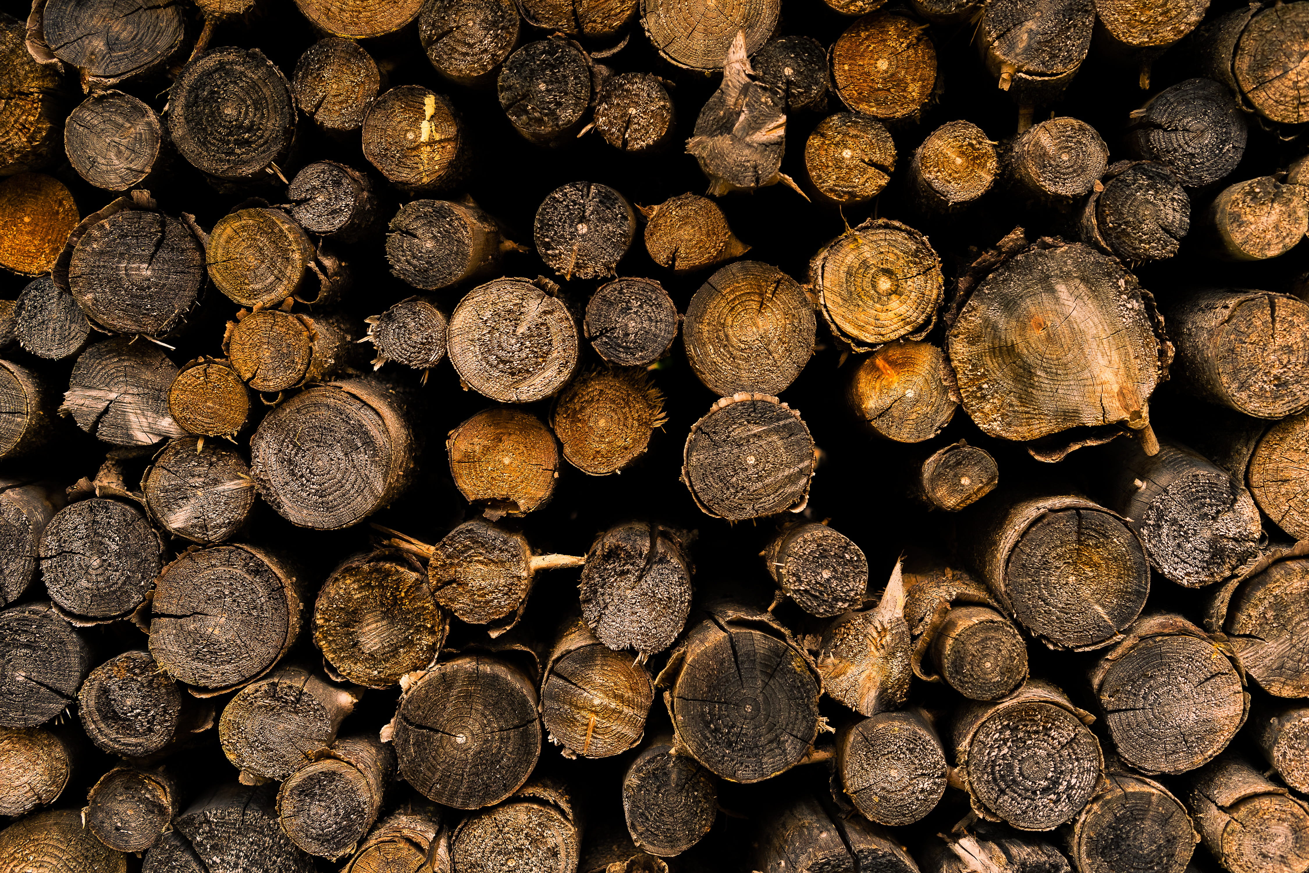 dry, forestry, 4K, stack, pattern, come, forest, large group of objects, environmental issues, log, deforestation, aesthetic, brown, no people, outdoors, HD Wallpaper