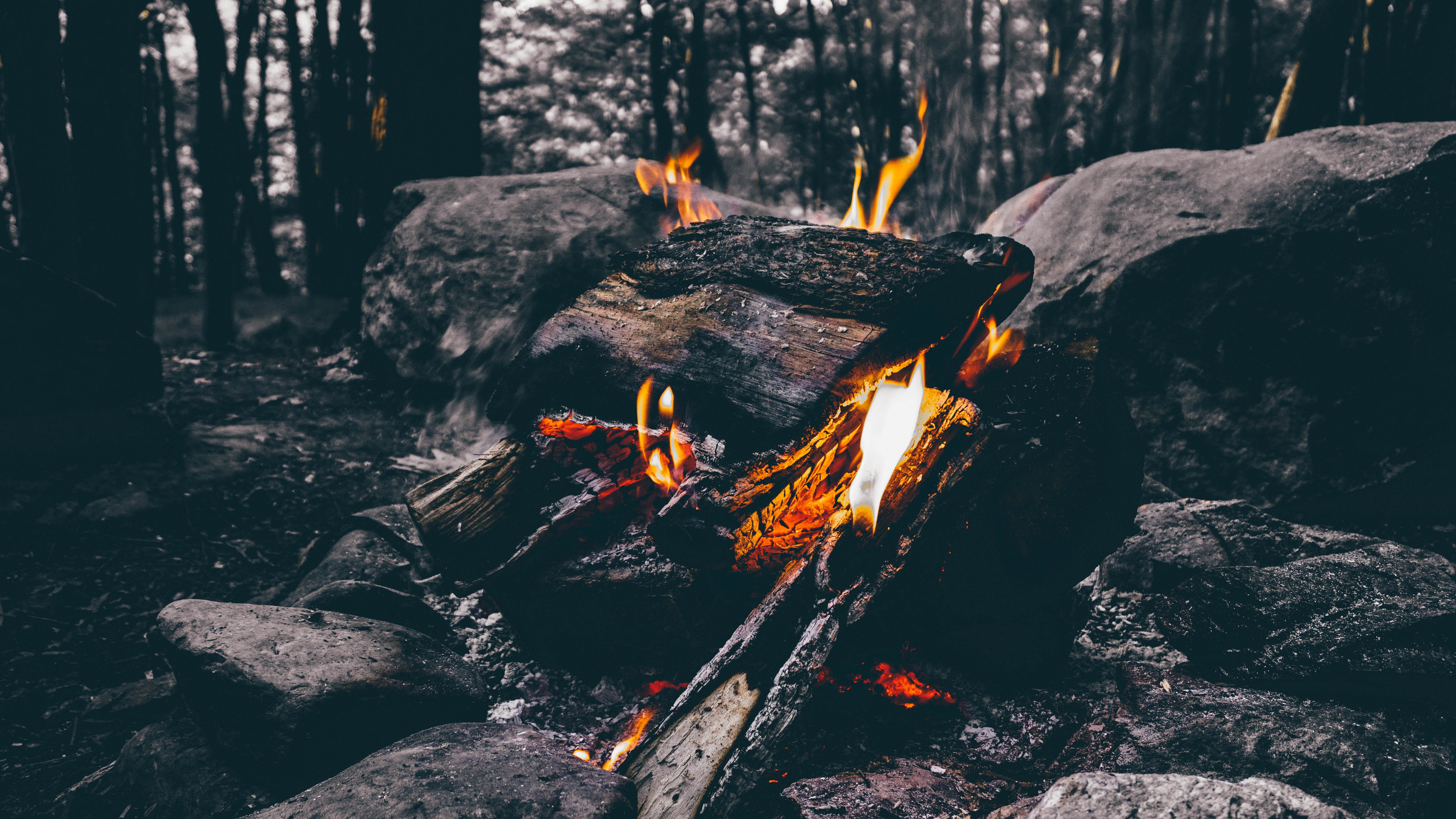 rocks, camping, no people, 5K, fire, flame, tree, wood, wood - material, glowing, ash, near, nature, lit, log, campfire, forest, burning, woodland, heat - temperature, HD Wallpaper