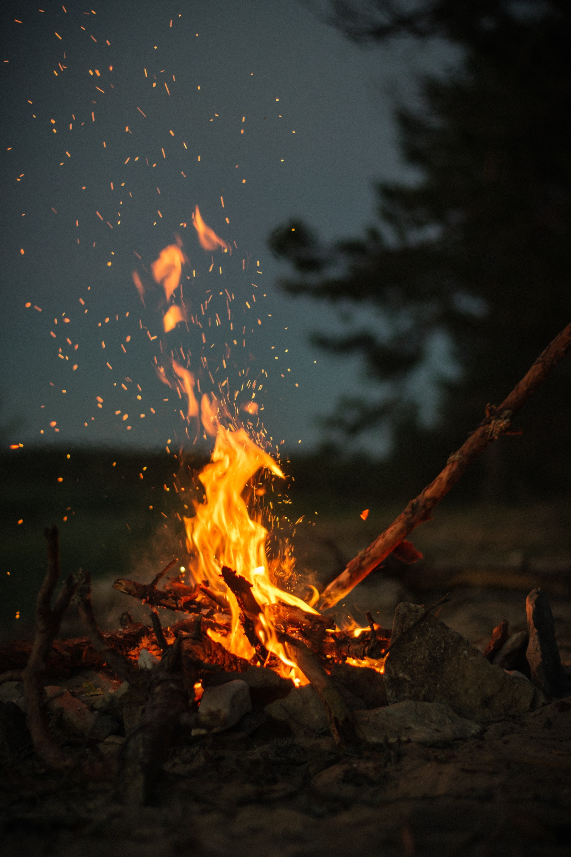 2K, sticks, fire, stones, bonfire, camping, Phone HD Wallpaper