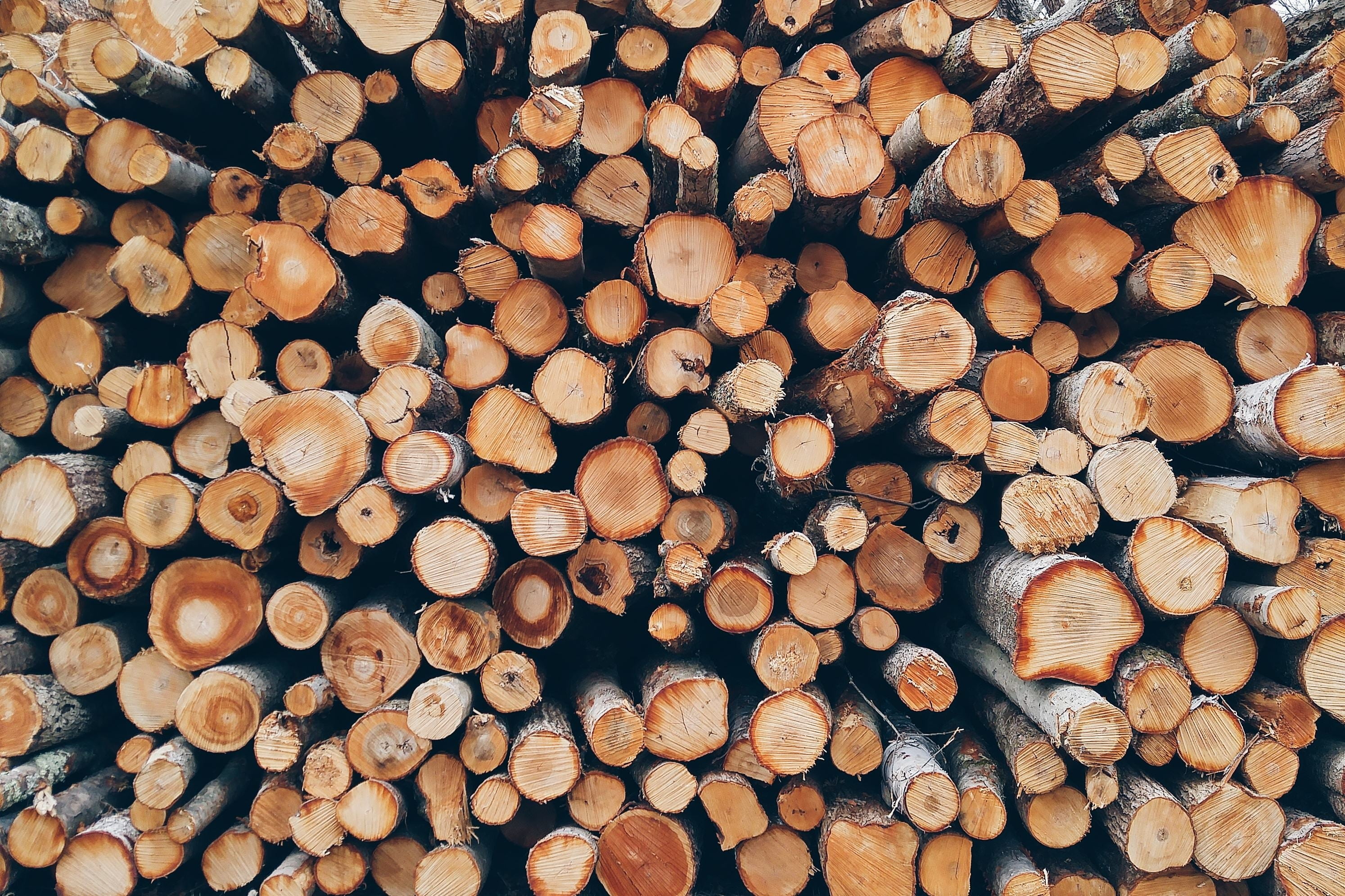 abundance, fuel and power generation, logs, batch, brown, woodpile, dry, no people, log, close-up, fossil fuel, forestry, environmental issues, resource, HD Wallpaper