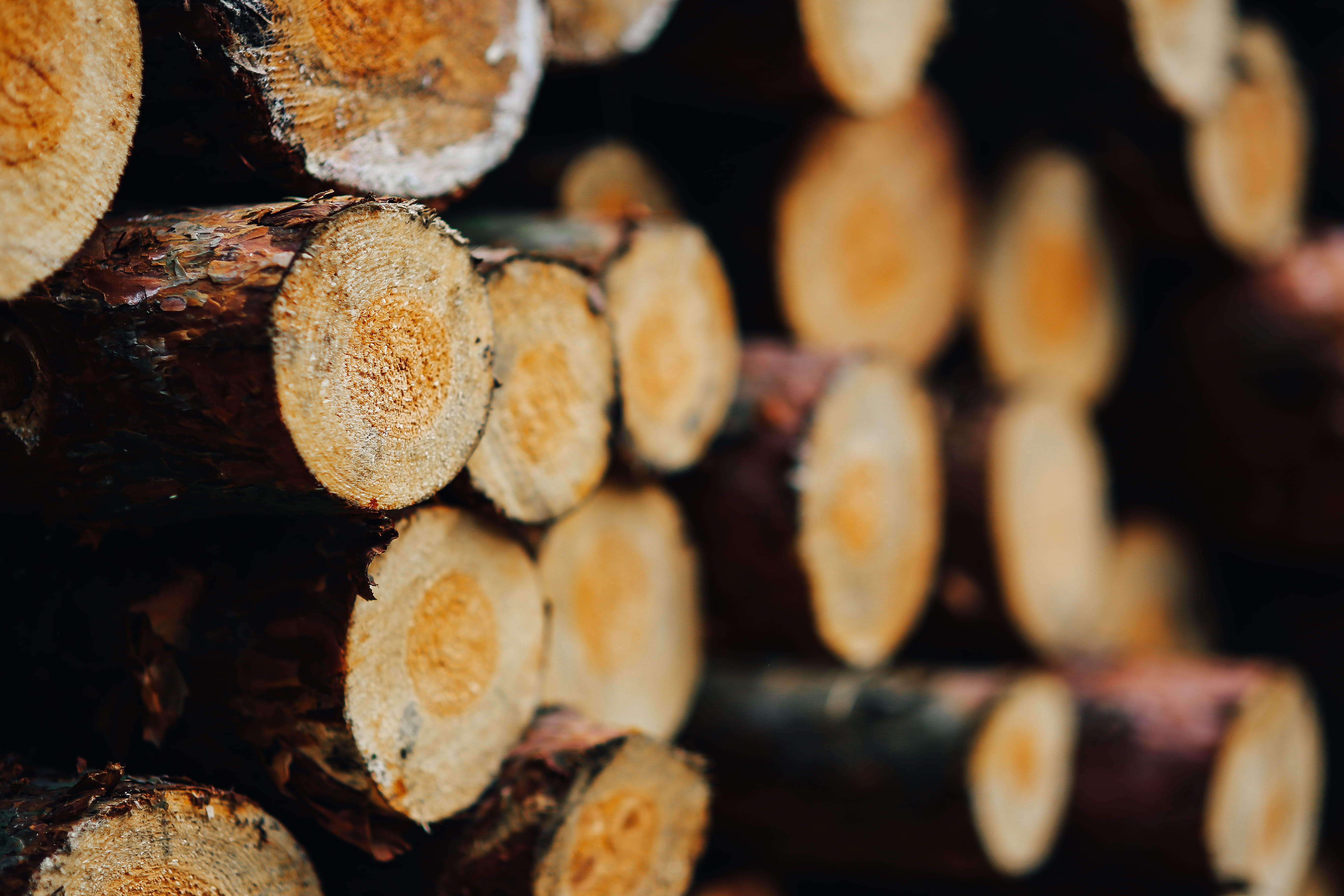 wooden, stack, selective focus, full frame, timber, fall, lumber Industry, tree, snack, firewood, log, 5K, close-up, Wall, pattern, woodpile, brown, food and drink, HD Wallpaper