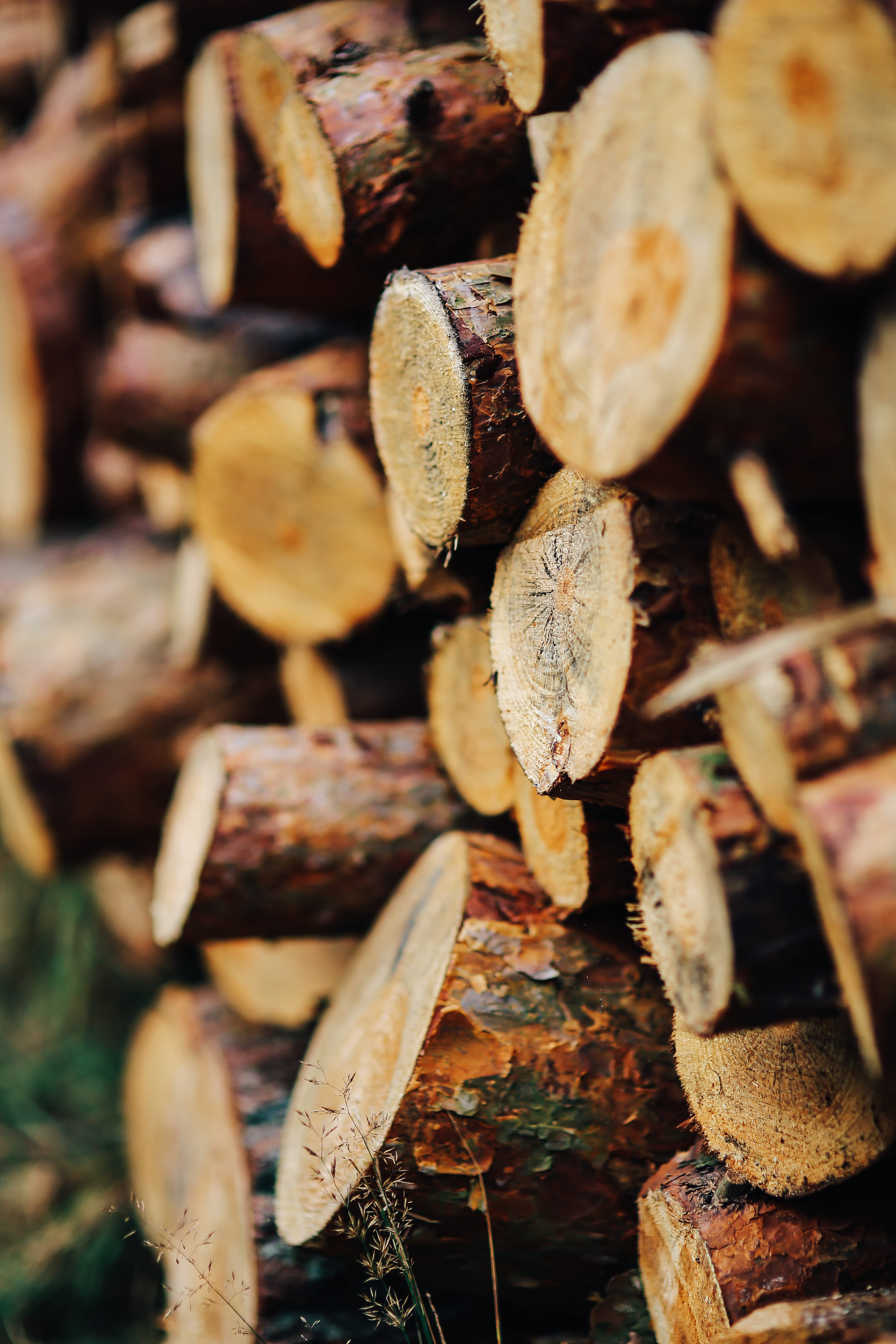 wood - Material, wooden, lumber Industry, trunks, stack, forest, timber, Wood, backgrounds, tree, full frame, heap, Wall, nature, firewood, outdoors, woodpile, Phone HD Wallpaper