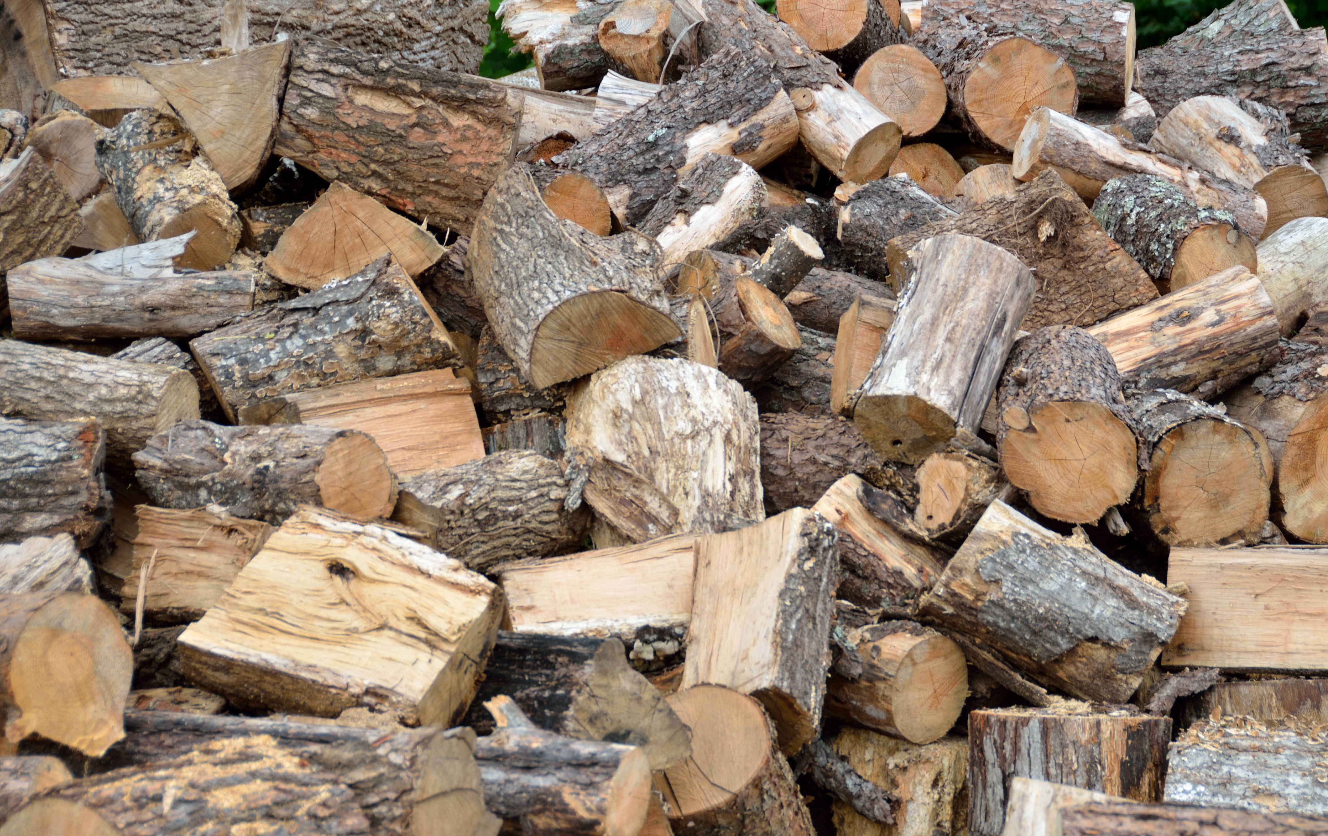 no people, large group of objects, abundance, forestry, forest, fossil fuel, lumber industry, backgrounds, cut, fuel and power generation, outdoors, pine, HD Wallpaper