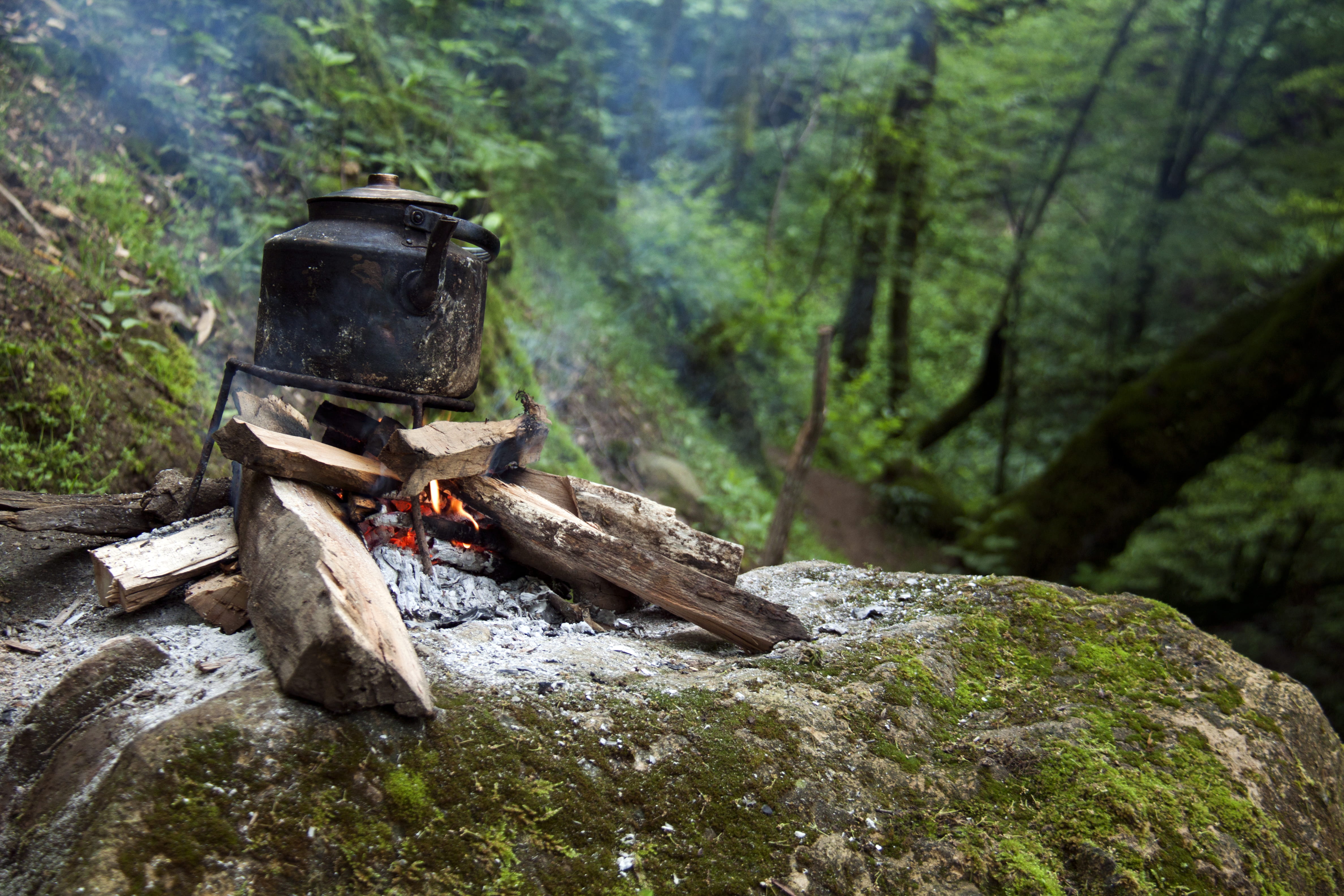 plant, bonfire, solid, iran, kettle, fire - natural phenomenon, log, wood, campfire, burning, fire, heat - temperature, nature, forest, firewood, rock - object, HD Wallpaper