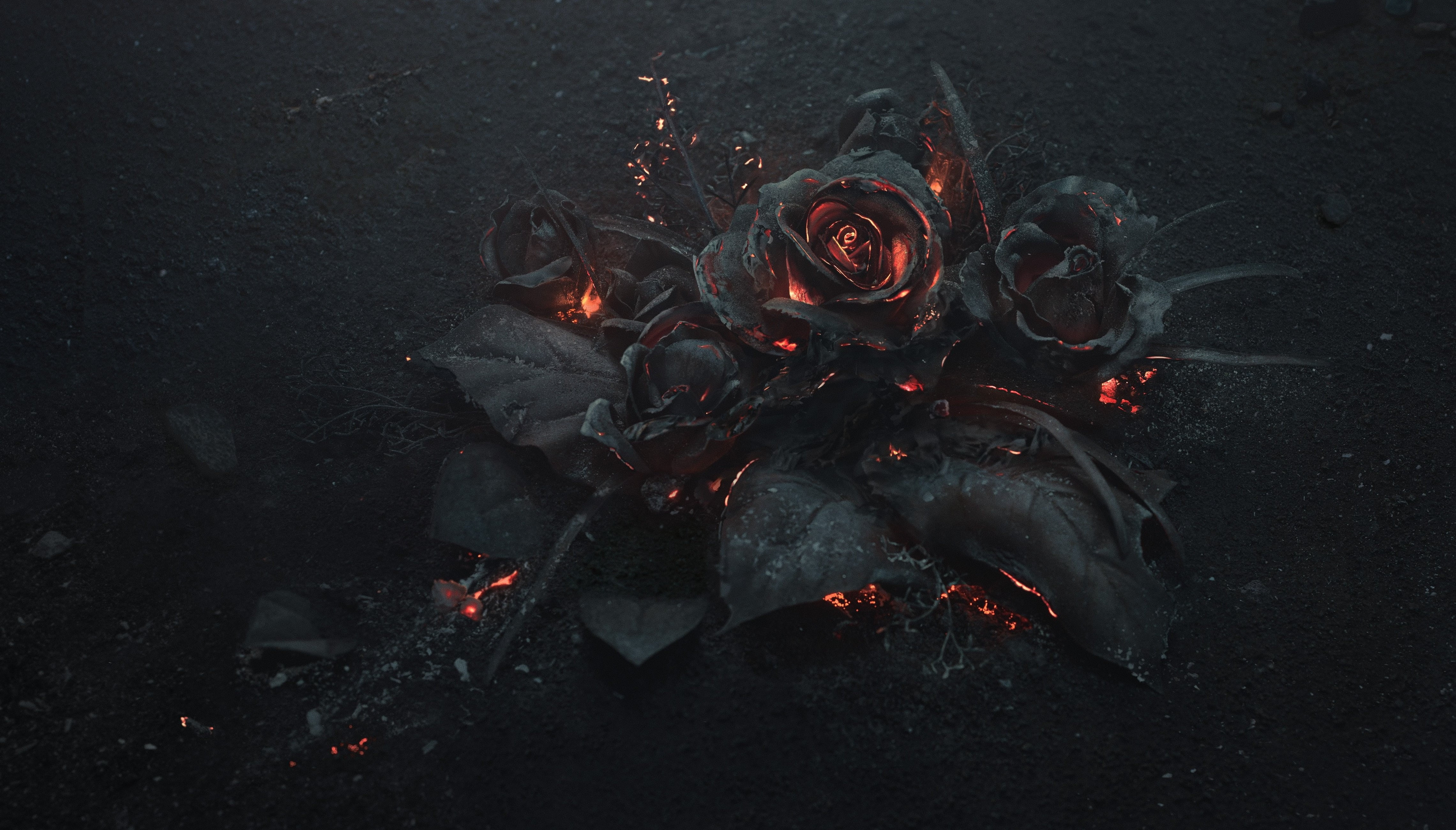 burned, ash, coal, 4K, Arsthanea, art, black roses, HD Wallpaper