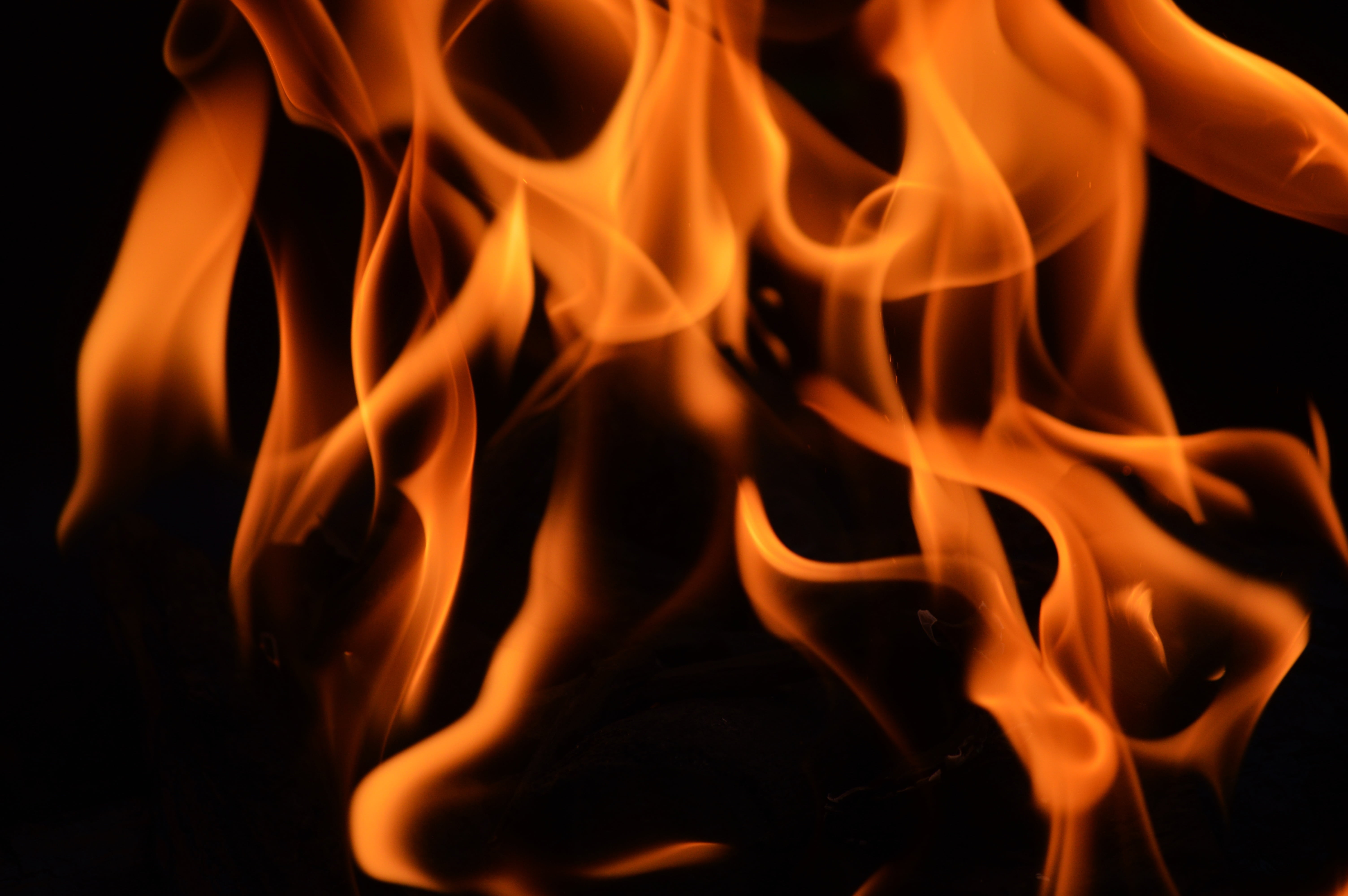 abstract, bonfire, close-up, blaze, flame, orange color, campfire, fire, backgrounds, heat - temperature, black background, warning sign, communication, HD Wallpaper