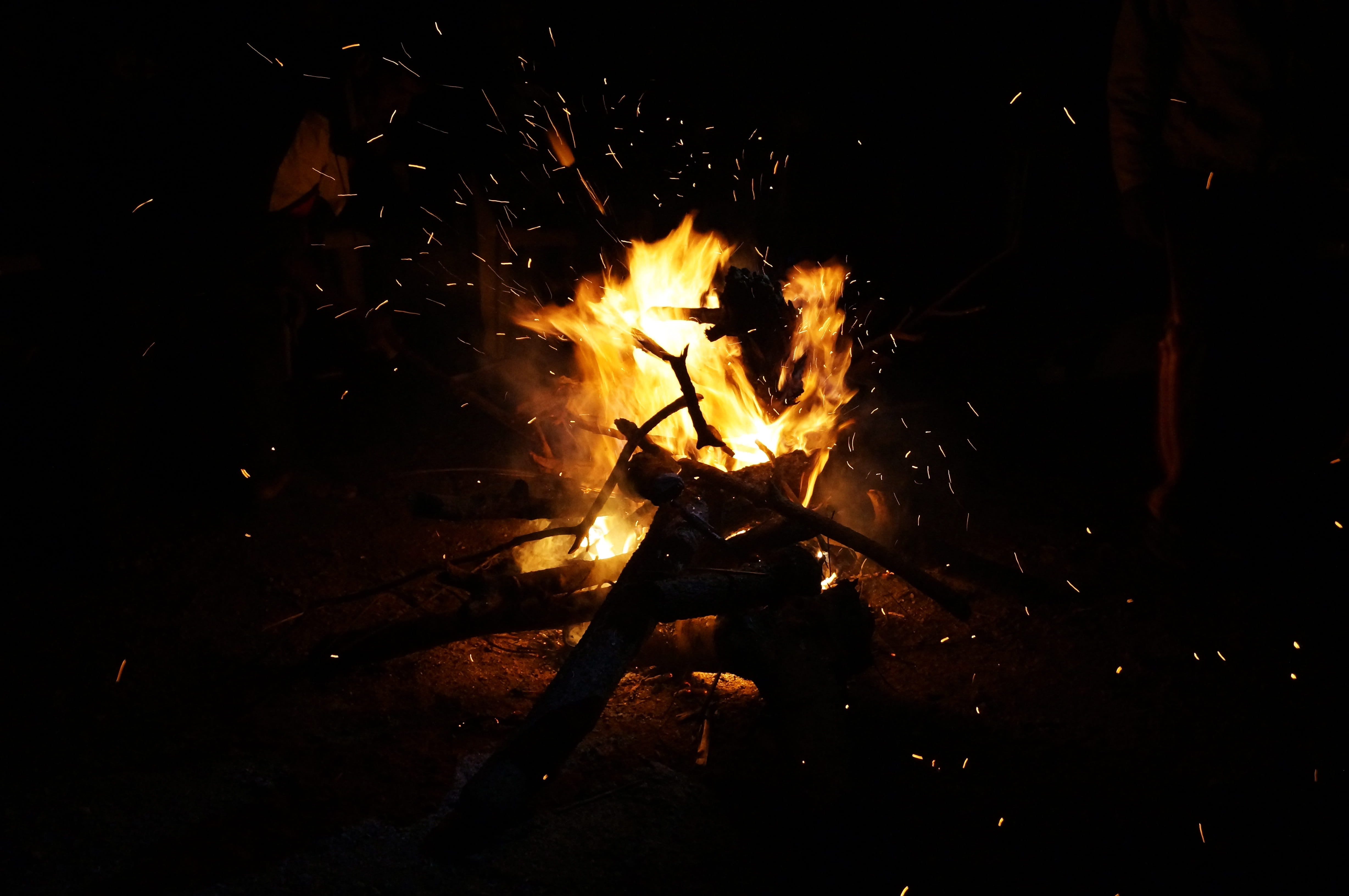 indoors, forest, high angle view, flame, glowing, log, burning, Friends, adventure, friendship, nature, Group, happiness, Fun, outdoors, firewood, 4K, HD Wallpaper