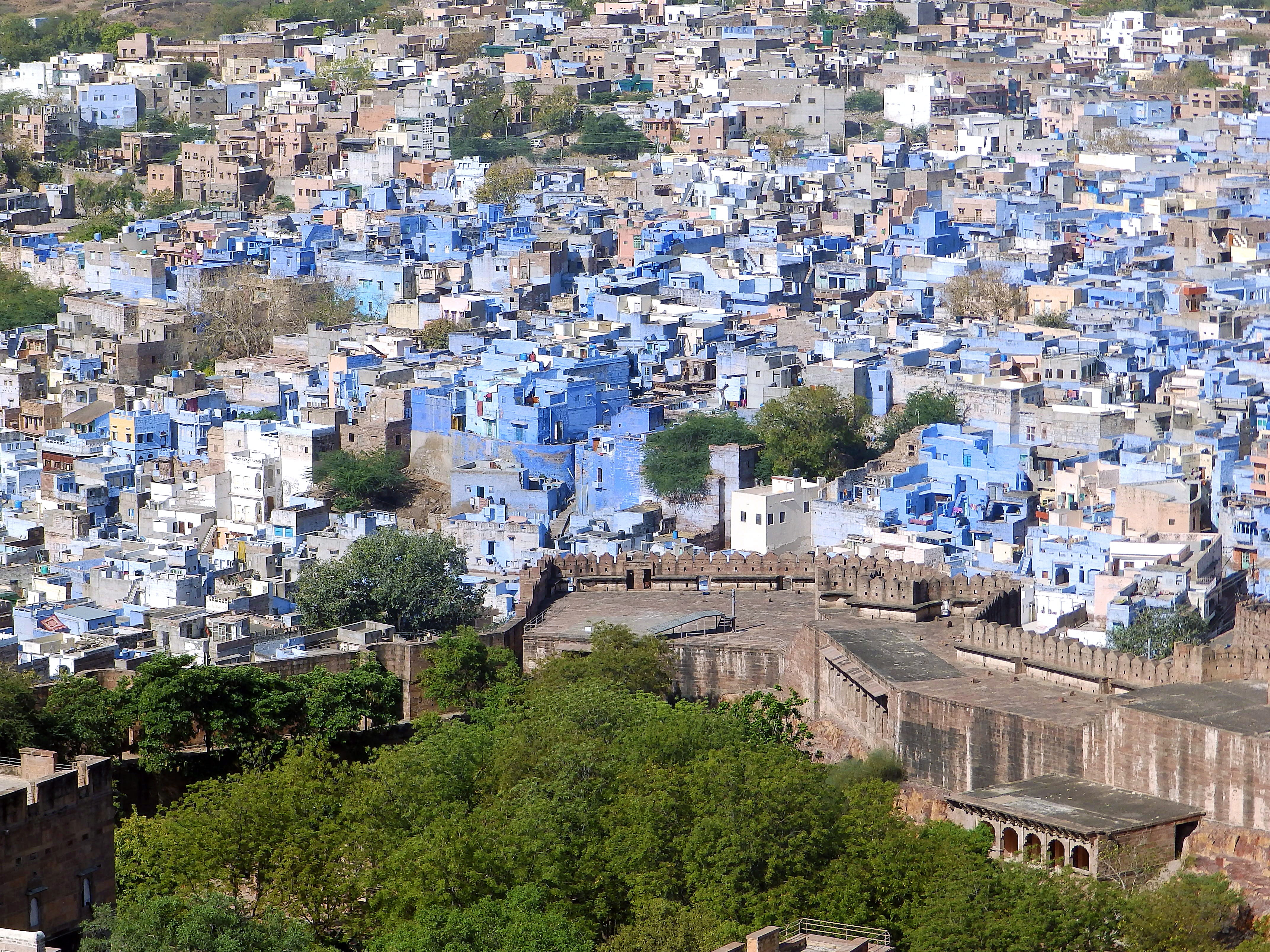 tree, high angle view, crowded, europe, famous Place, Pur, settlement, no people, homes, green color, Iodine, iodine-pur, outdoors, nature, radjastan, town, HD Wallpaper