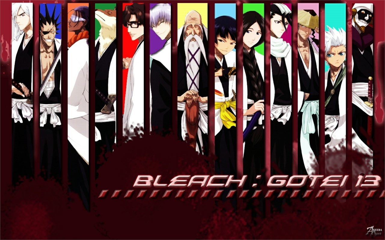Soifon (Bleach), Genryūsai Shigekuni Yamamoto, 720P, Kaname Tosen, Sōsuke Aizen, Bleach, Unohana Retsu, Jūshirō Ukitake, Byakuya Kuchiki, Sajin Komamura, HD Wallpaper