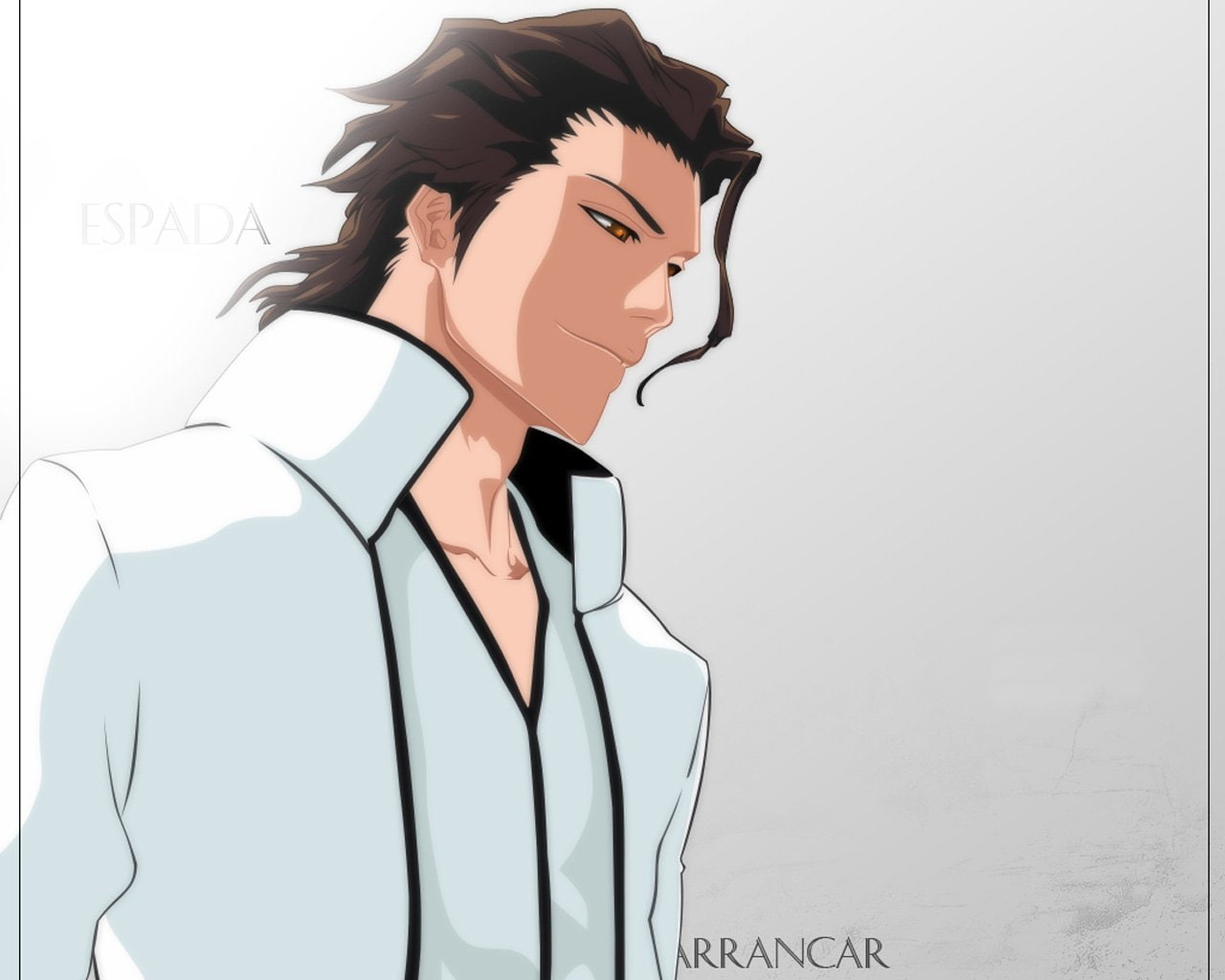 Sōsuke Aizen, Bleach, 720P, HD Wallpaper