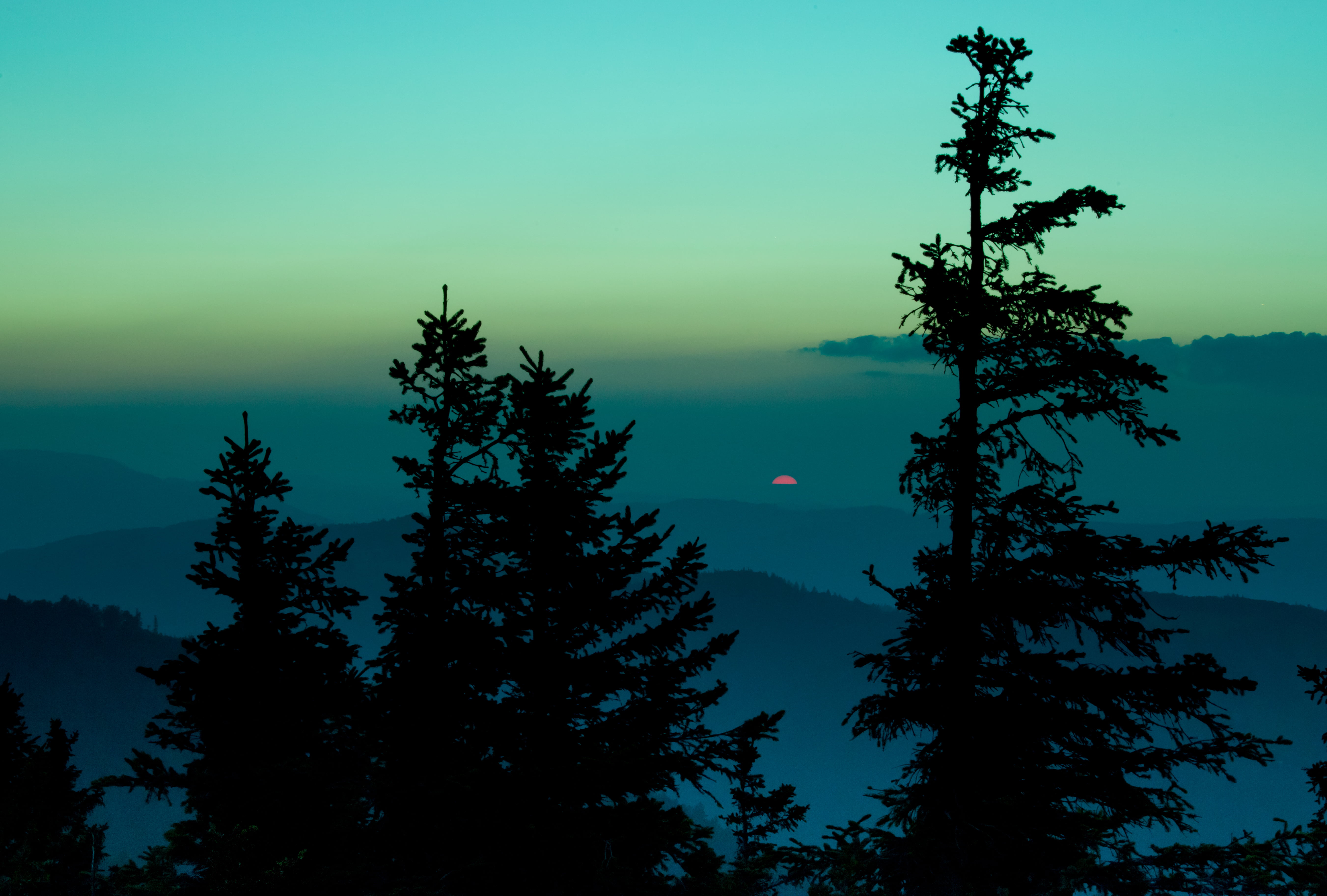Schweiz, Solothurn, Tanne, mountain, green, scenics, trees, landscape, Switzerland, nature, forest, silhouette, sunset, 5K, orange, tree, sky, Winter blues, HD Wallpaper