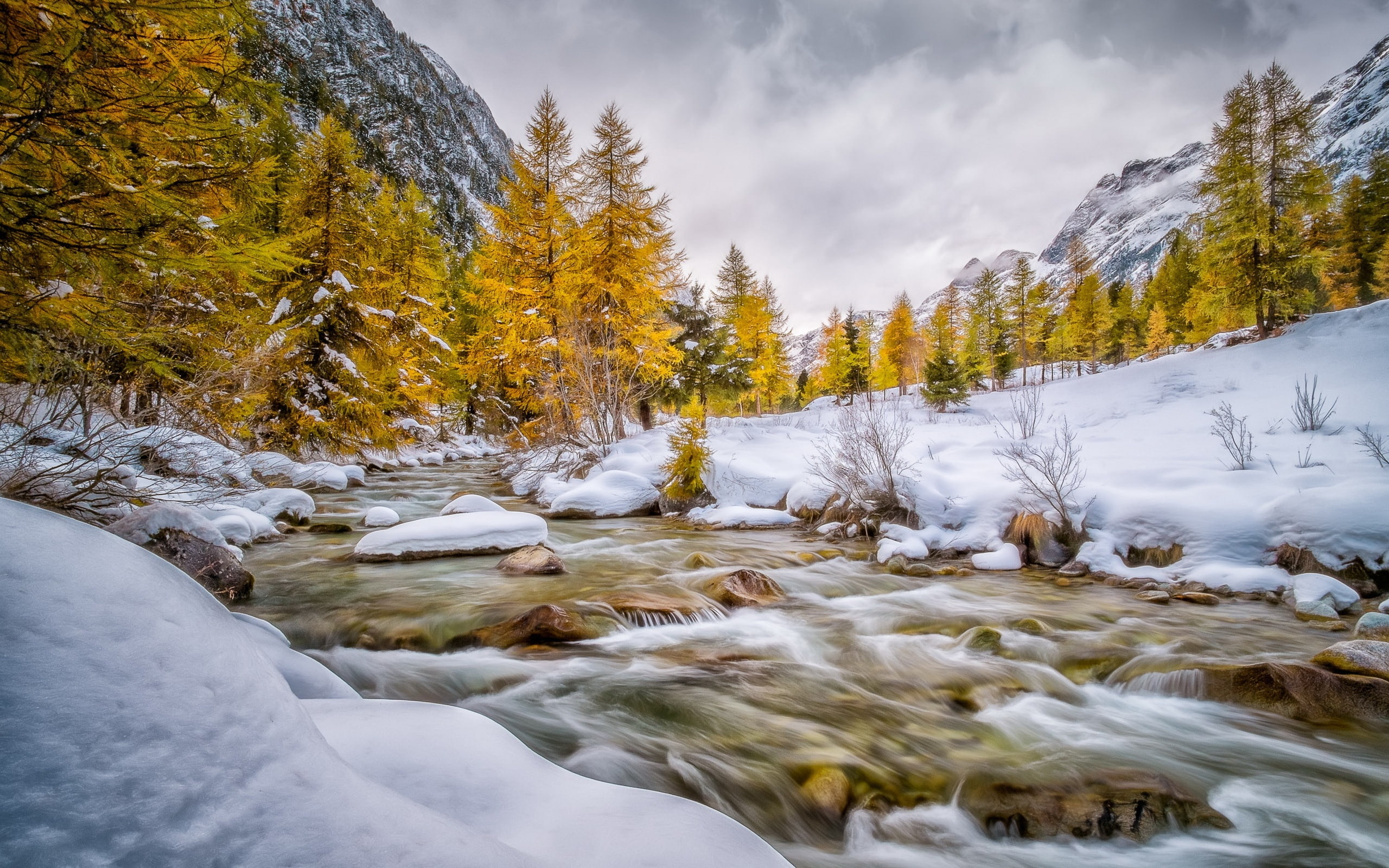Schweiz, 2K, Winter, River, bever, Snow, val, Trees, Engadin, White, HD Wallpaper