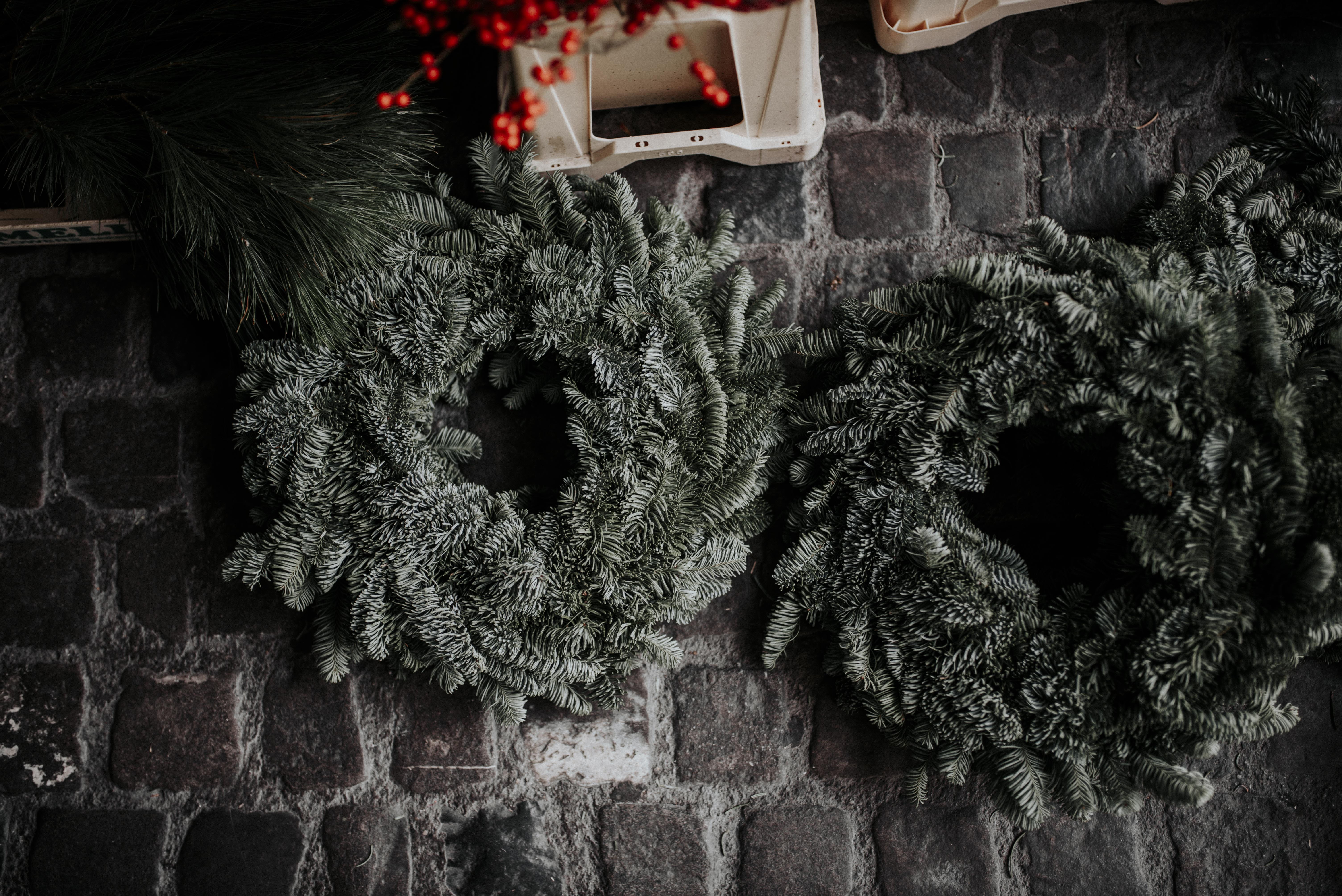 plant, pavement, celebration, adventskalender, two, couch, no people, built structure, architecture, nature, furniture, christmas tree decor, green, walkway, HD Wallpaper