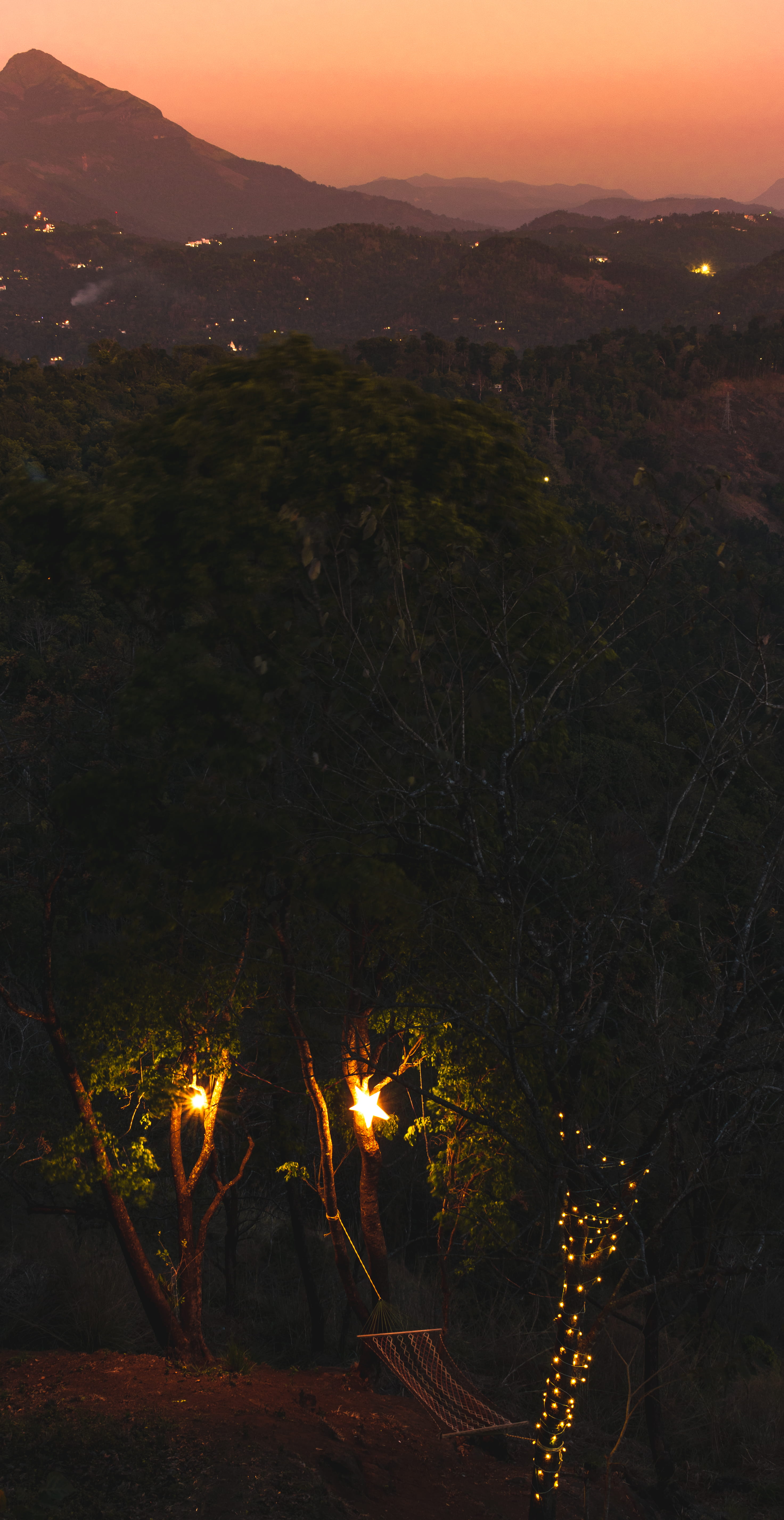 nature, plant, 5K, fire, orange color, bonfire, animal, flame, beauty in nature, scenics - nature, land, no people, night, flare, crystal, abies, outdoors, Phone HD Wallpaper