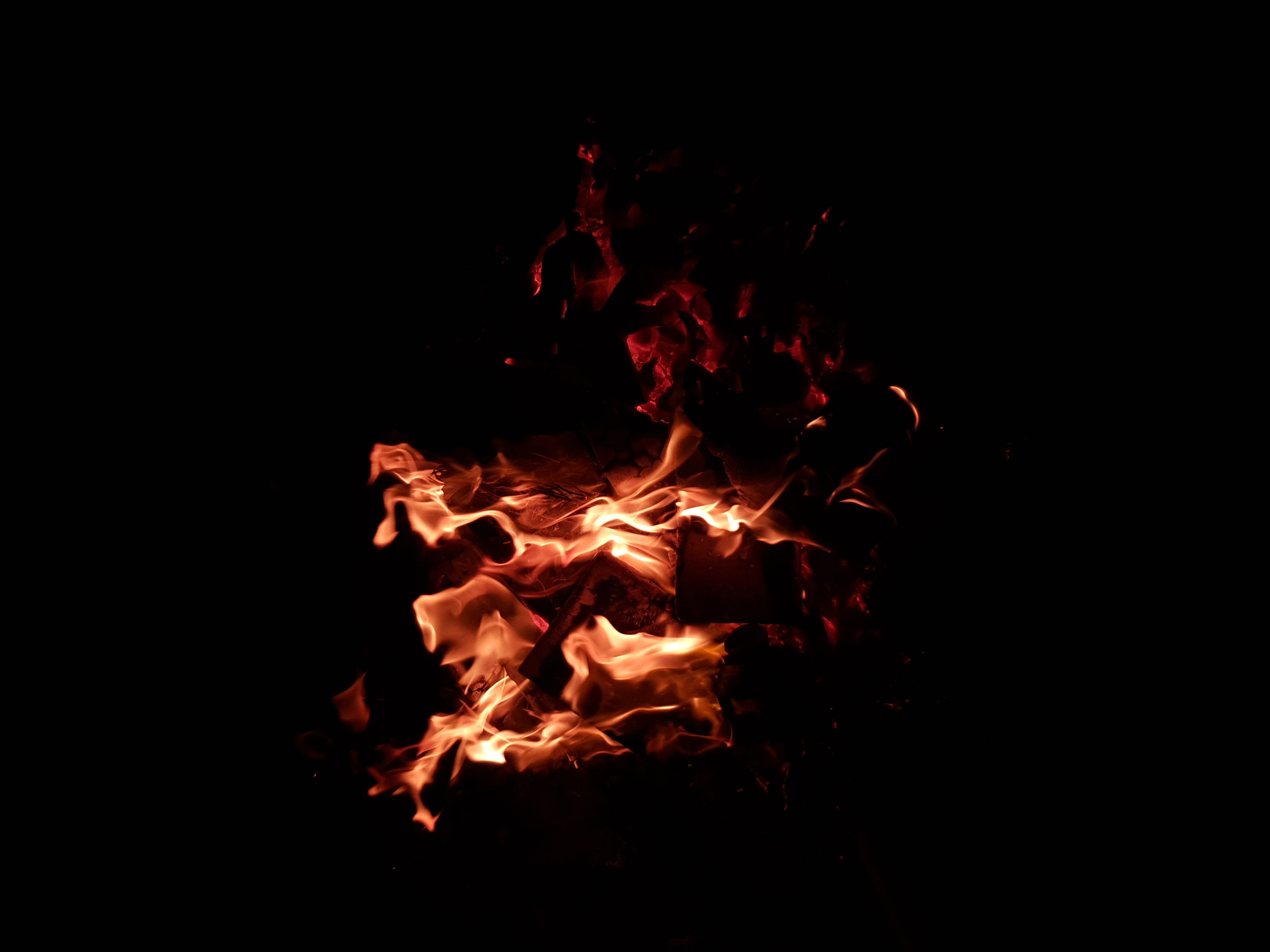4K, log, bonfire, inferno, paint container, glowing, wood - material, invertebrate, glass, background image, fire, blurred motion, musical instrument, HD Wallpaper