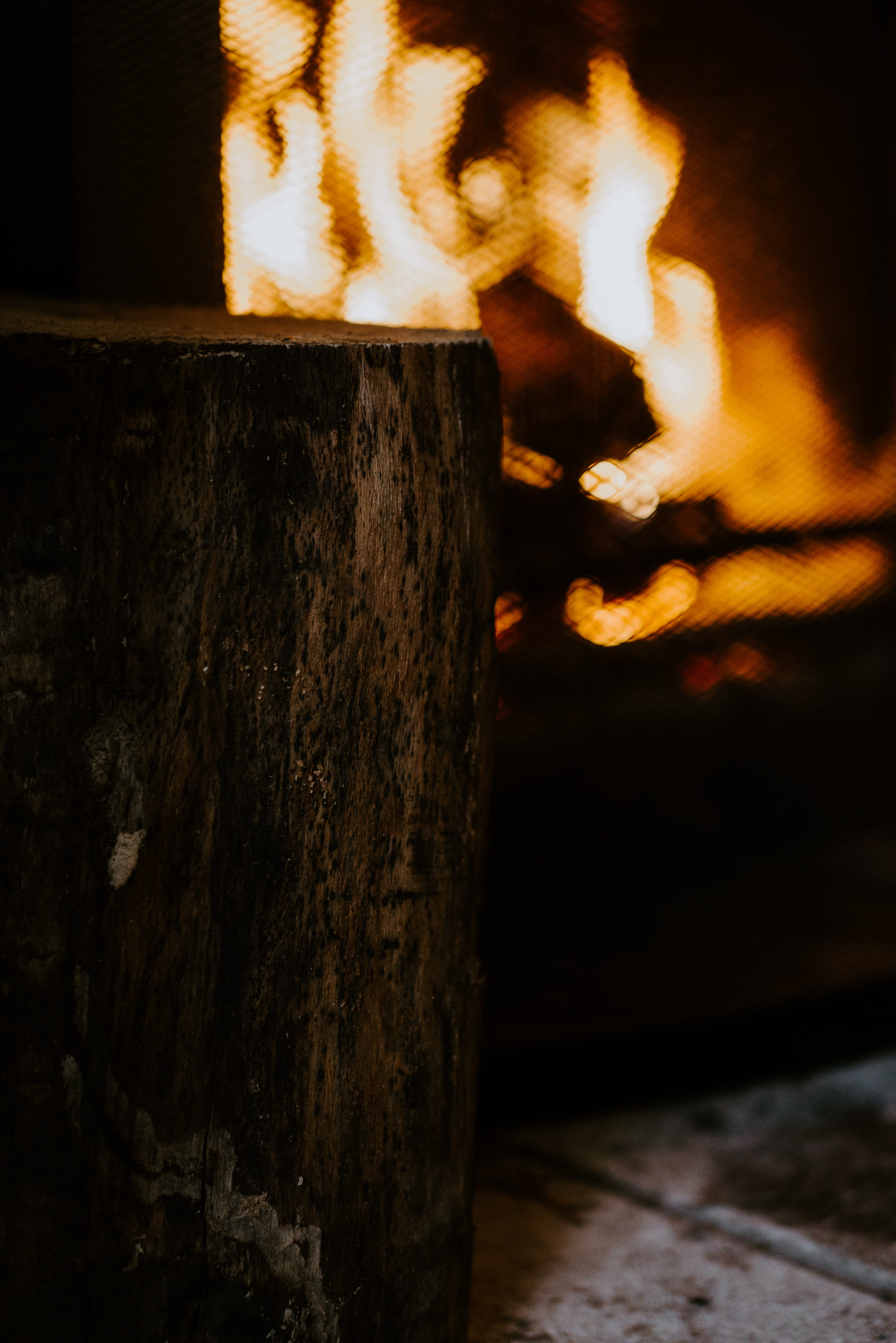 fire - natural phenomenon, photography, one animal, hot dog, glass, focus on foreground, warmth, fire, burning, indoors, goblet, yellow, dark, tree stump, Phone HD Wallpaper