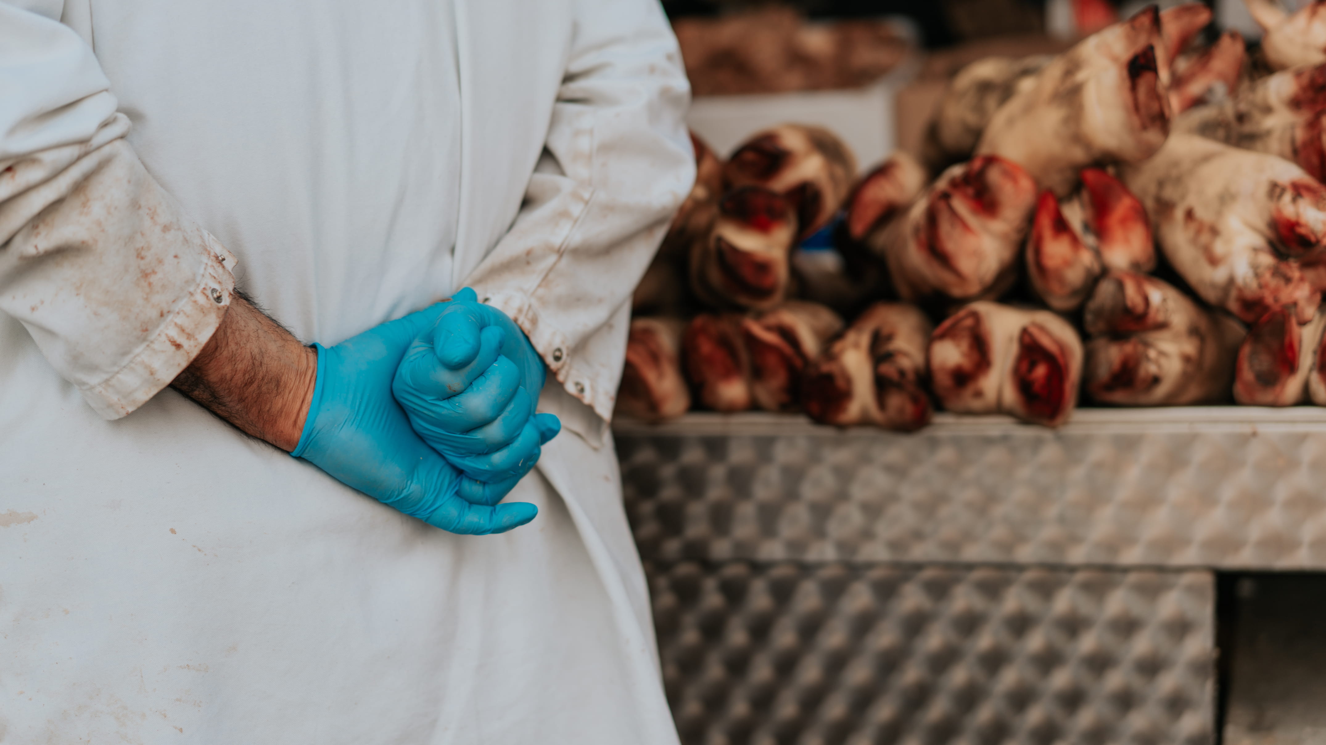 crowd, finger, festival, men, midsection, glass, hands, human, coat, apparel, person, surgical glove, focus on foreground, glove, adult, back, occupation, HD Wallpaper