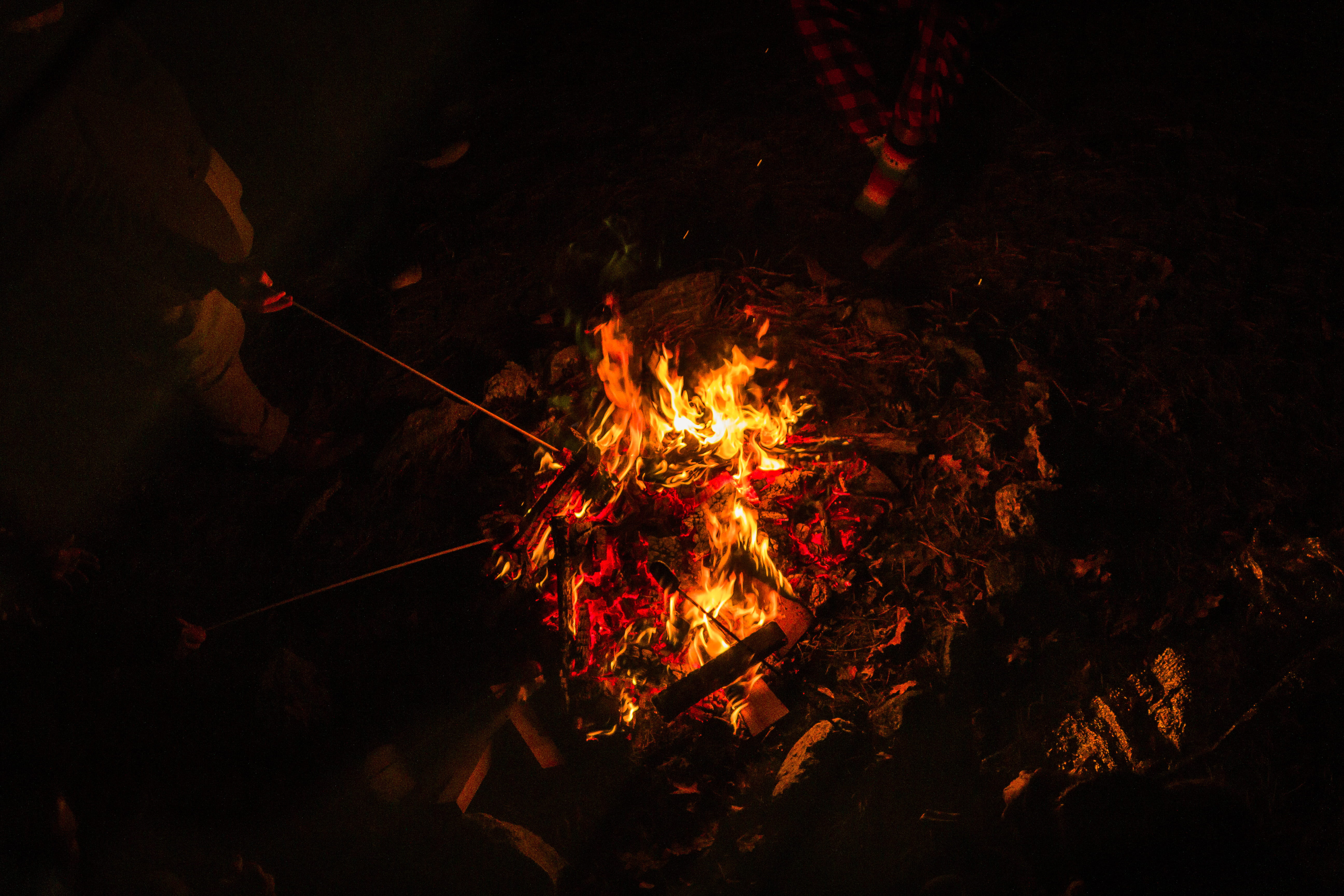 heat - temperature, fire - natural phenomenon, celebration, tree, night life, nature, outdoors, land, glowing, adventure, promontory, campfire, no people, HD Wallpaper